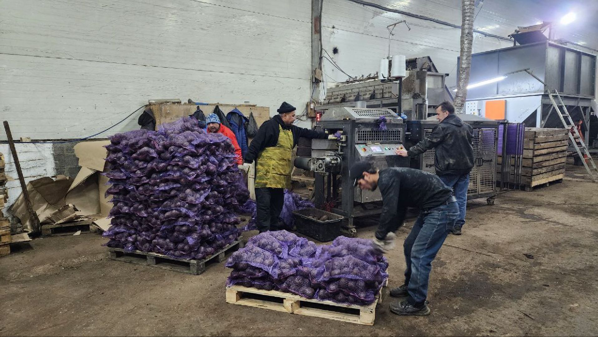 Дмитров, Мосагрофуд-Д, Минсельхоз,