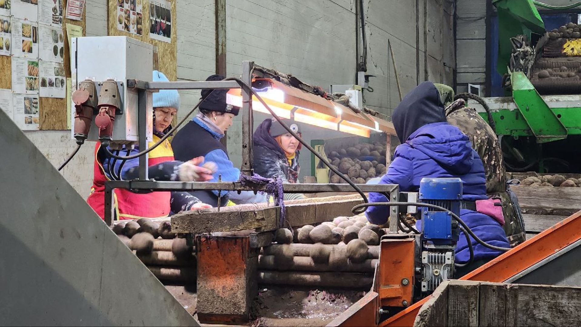 Дмитров, Мосагрофуд-Д, Минсельхоз,