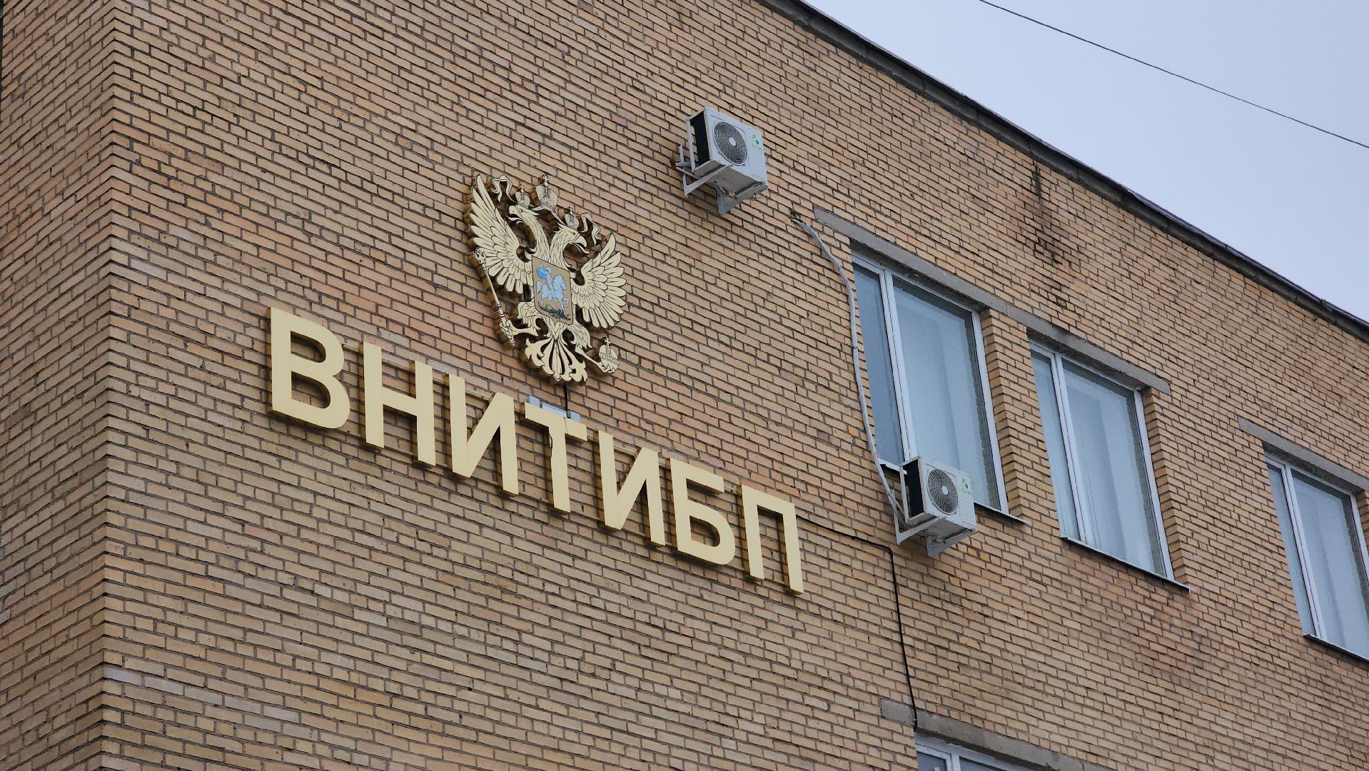 образование, билет в будущее, профориентация, школа, биотехнологии, лосино-петровский,