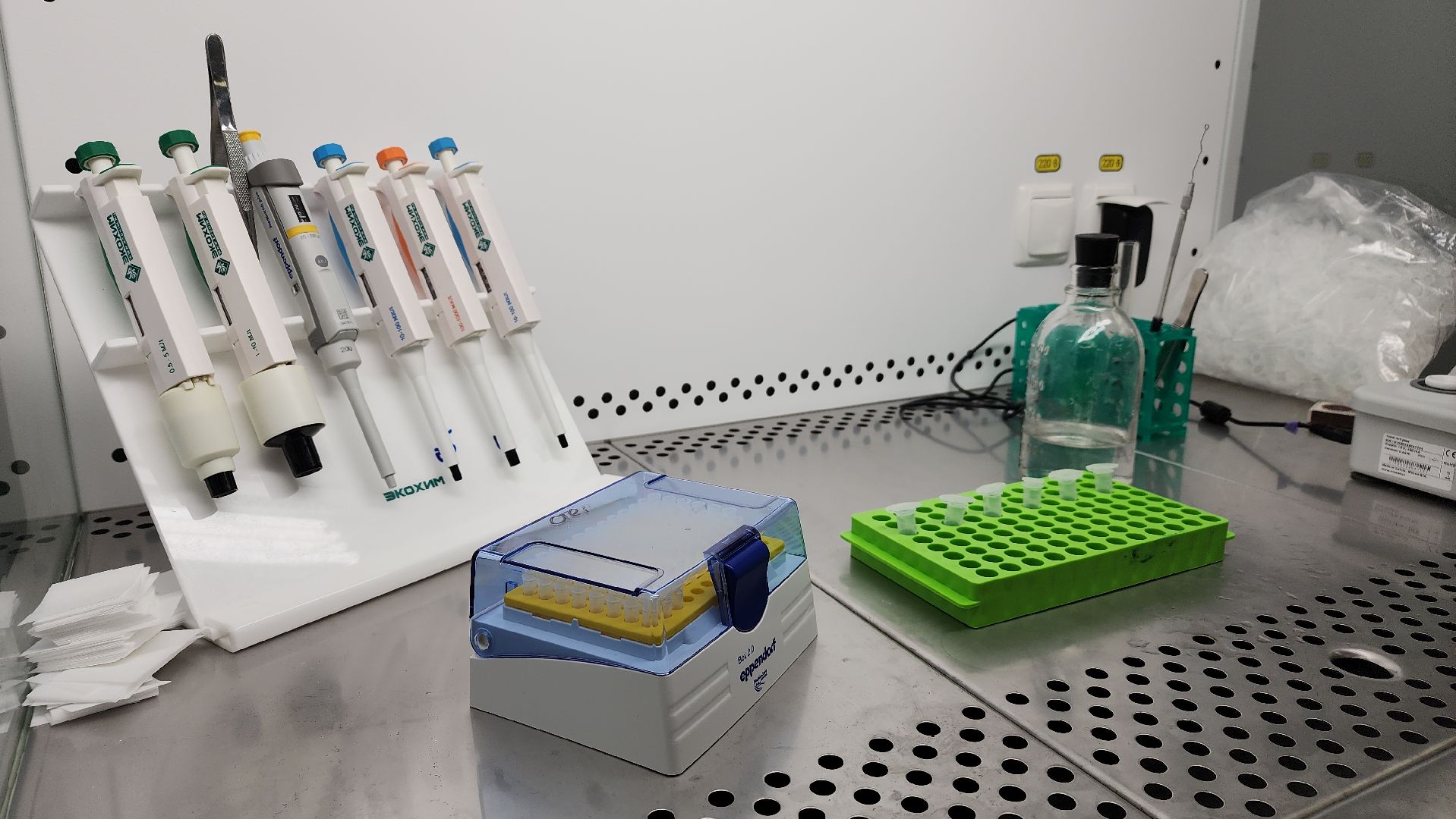 образование, билет в будущее, профориентация, школа, биотехнологии, лосино-петровский,