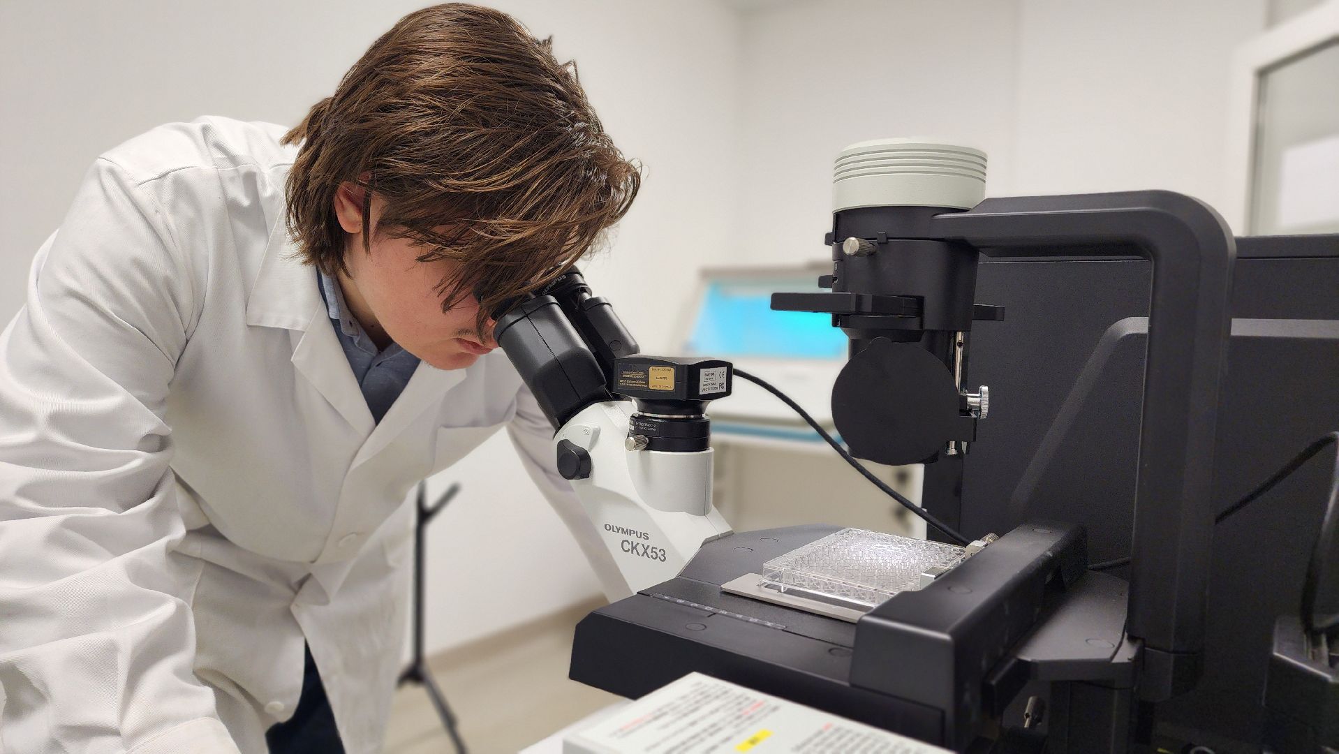 образование, билет в будущее, профориентация, школа, биотехнологии, лосино-петровский,