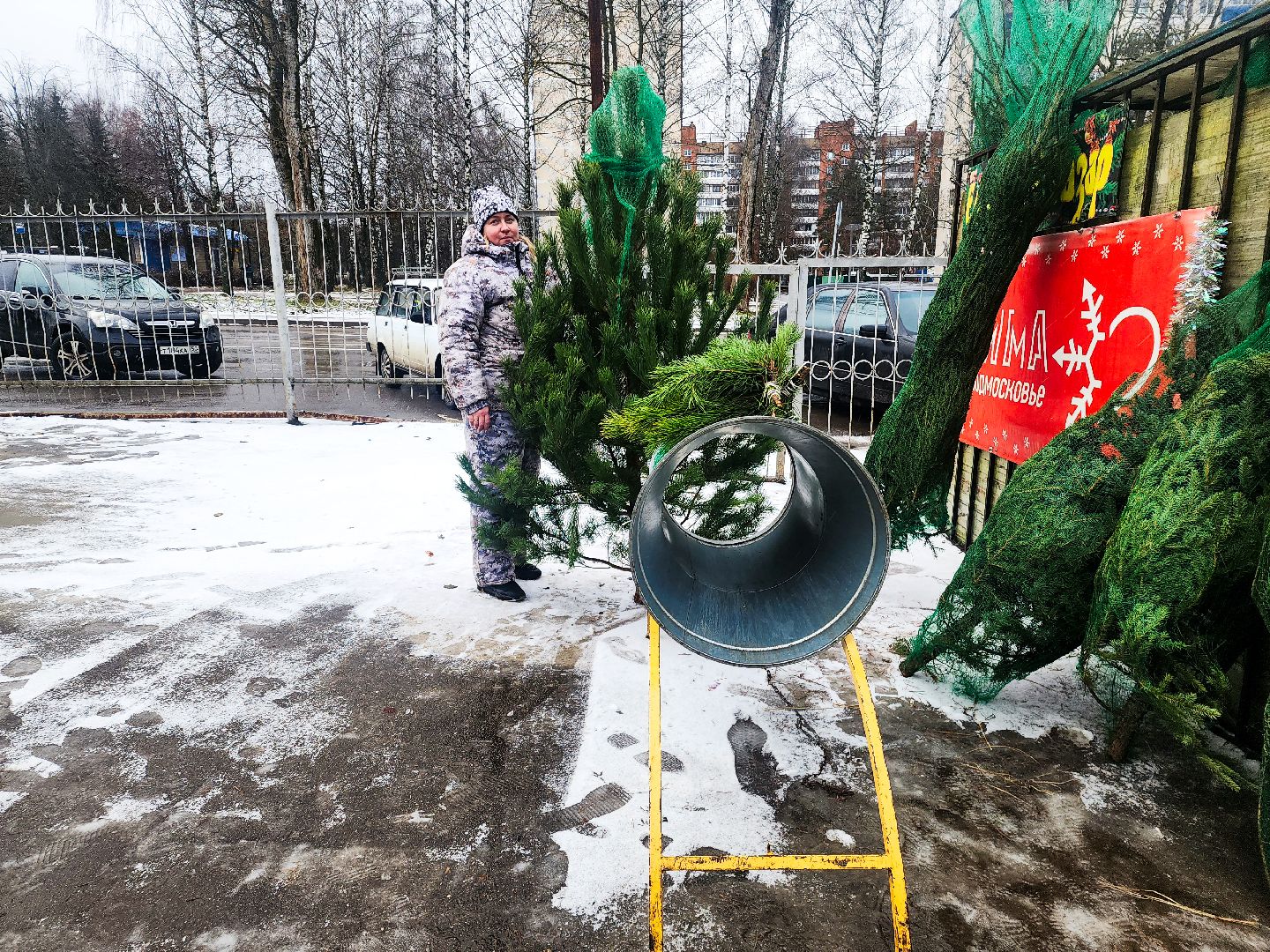 пущино, серпухов, новый год,