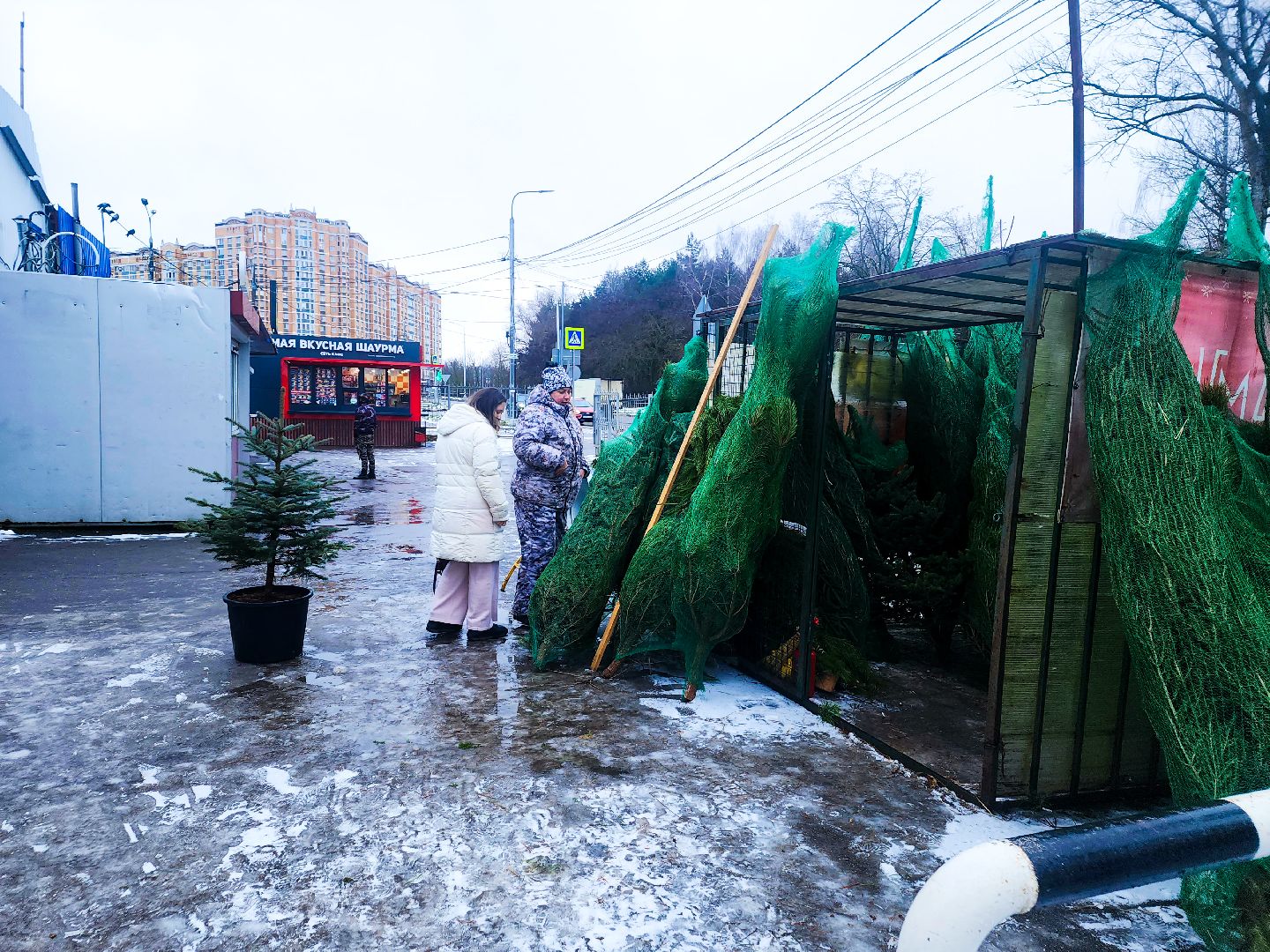 пущино, серпухов, новый год,