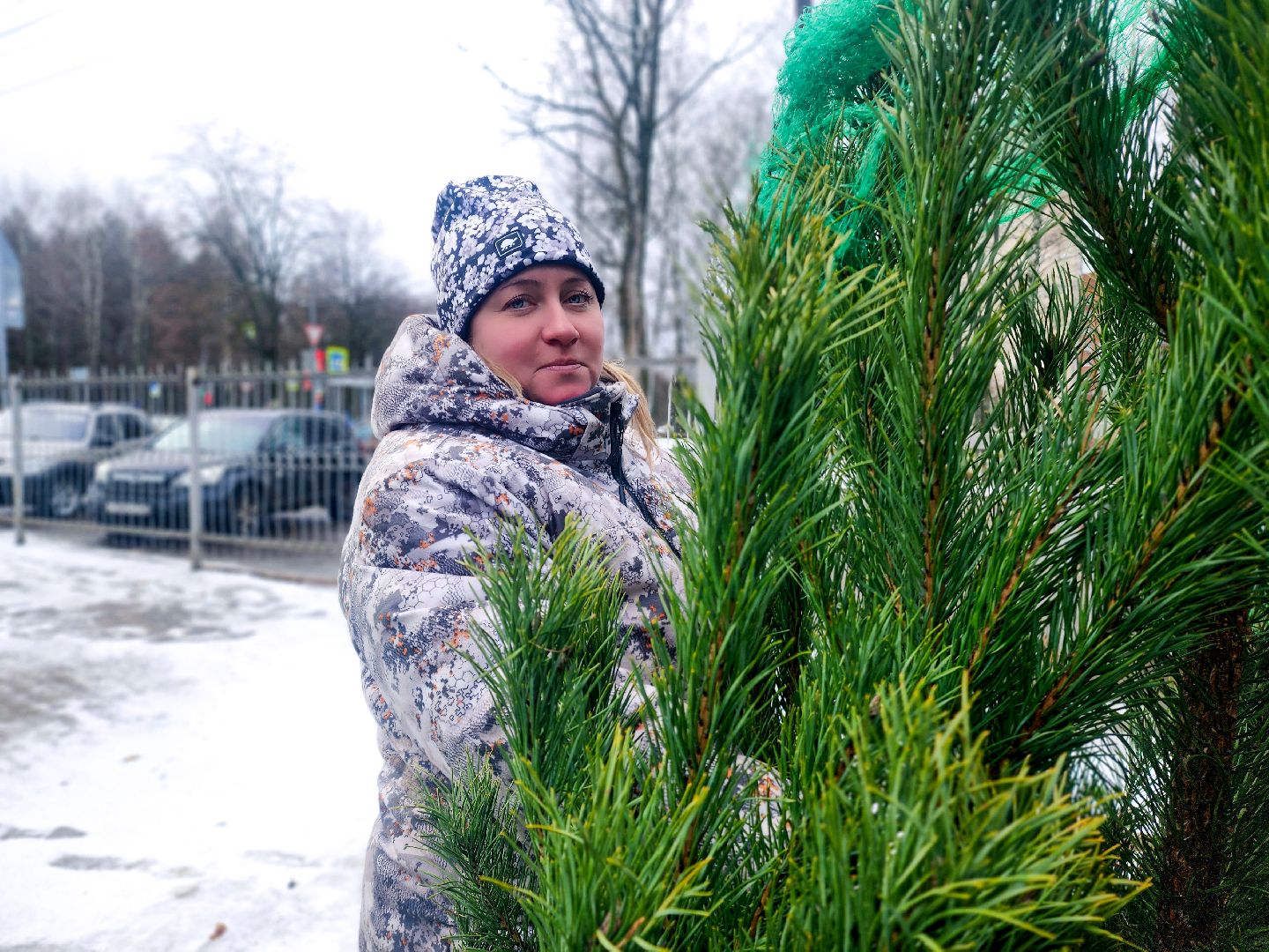 пущино, серпухов, новый год,