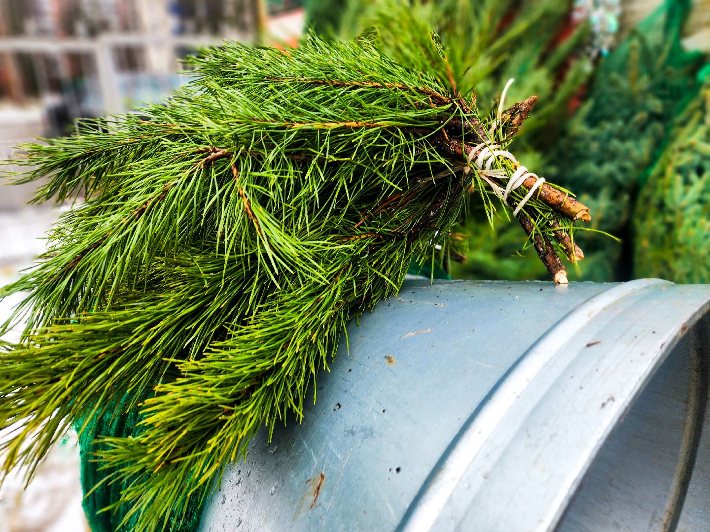 пущино, серпухов, новый год,