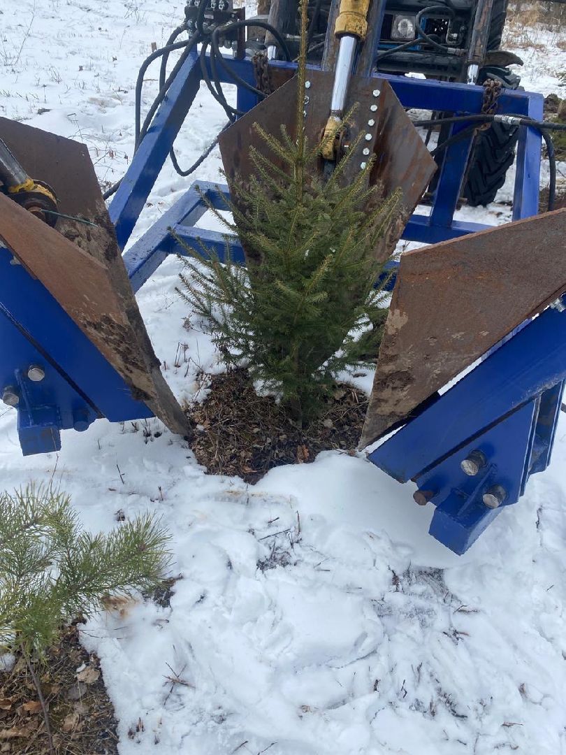 пущино, серпухов, новый год,