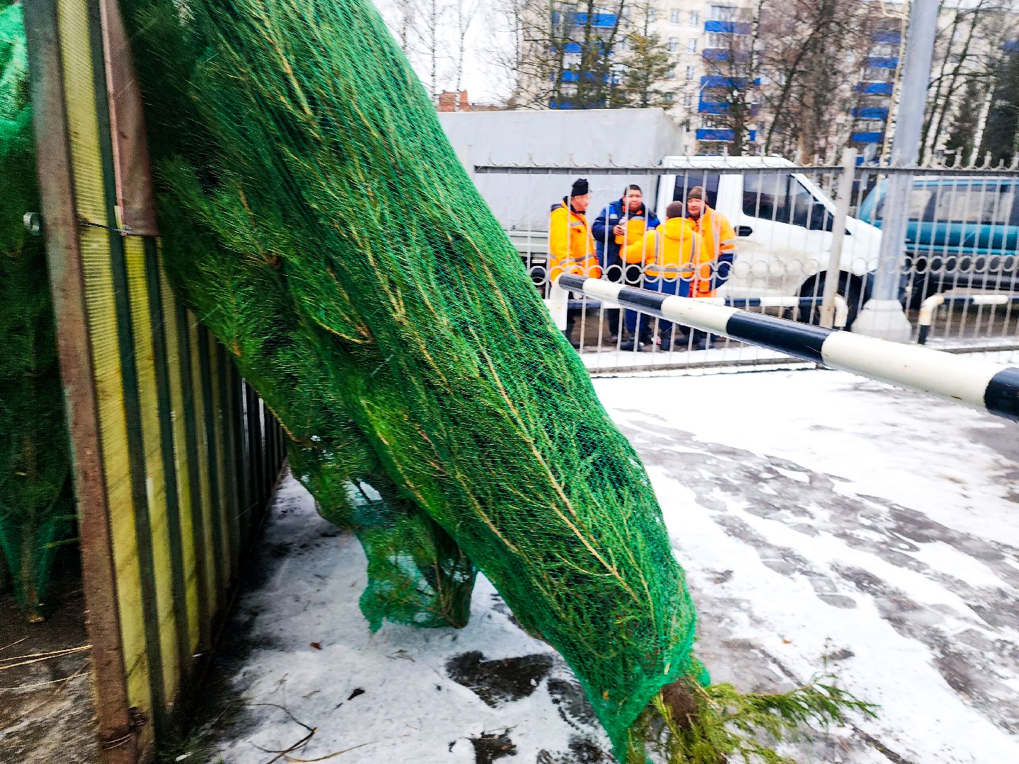 пущино, серпухов, новый год,