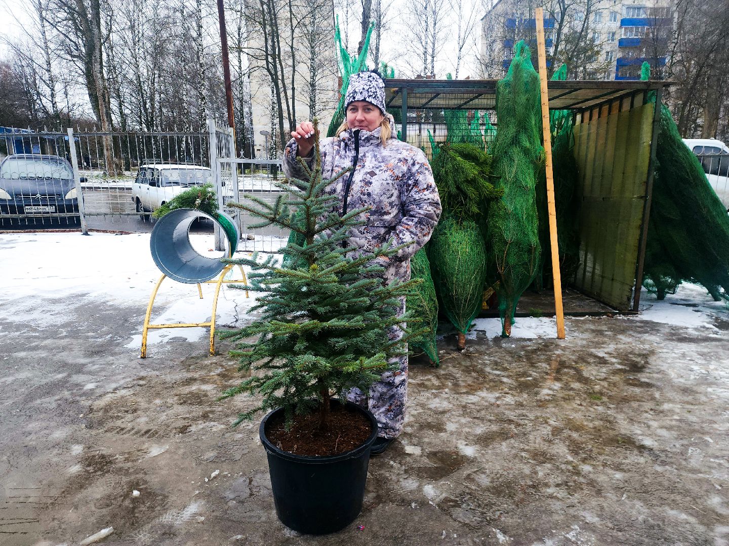 пущино, серпухов, новый год,