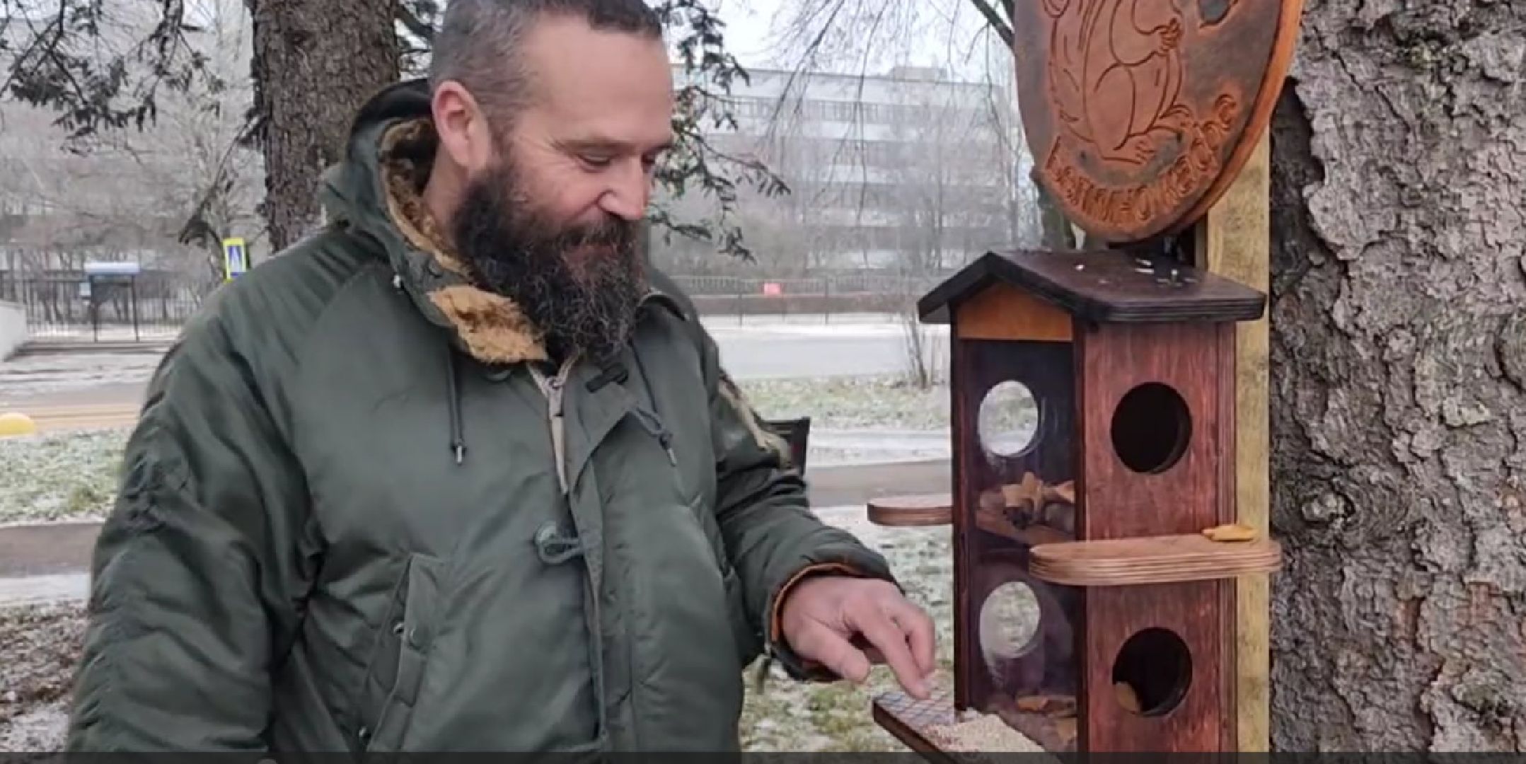 пущино, серпухов, волонтеры,