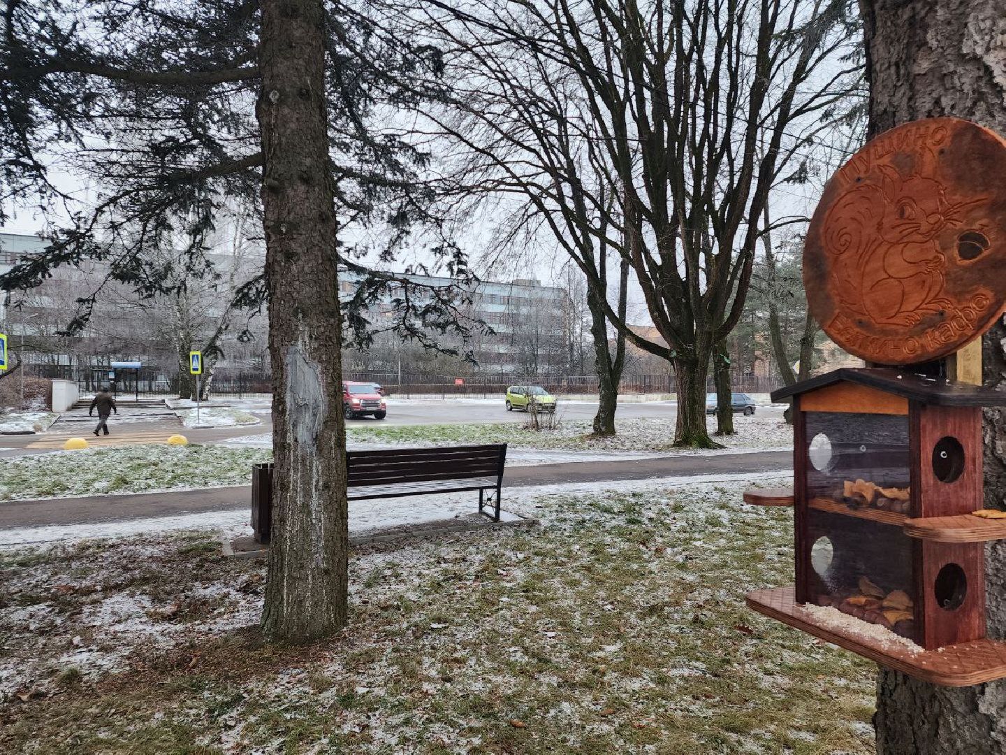 пущино, серпухов, волонтеры,