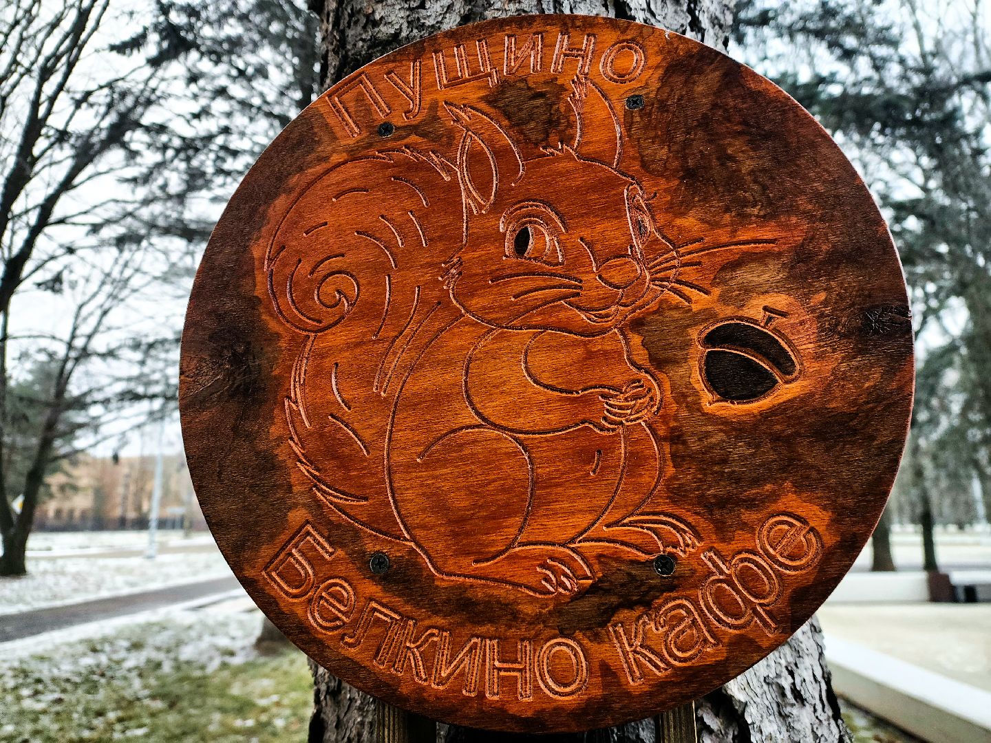 пущино, серпухов, волонтеры,