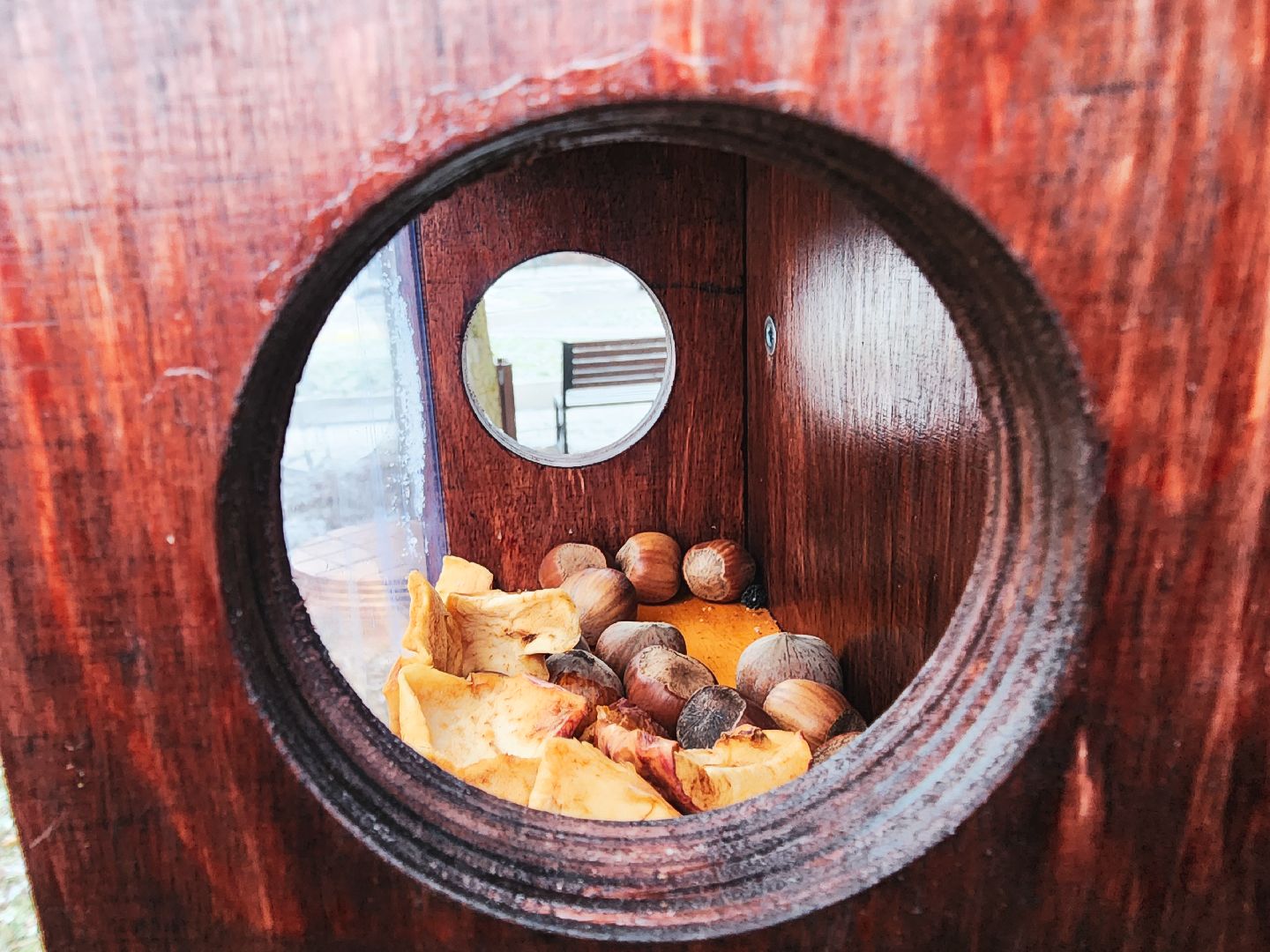 пущино, серпухов, волонтеры,