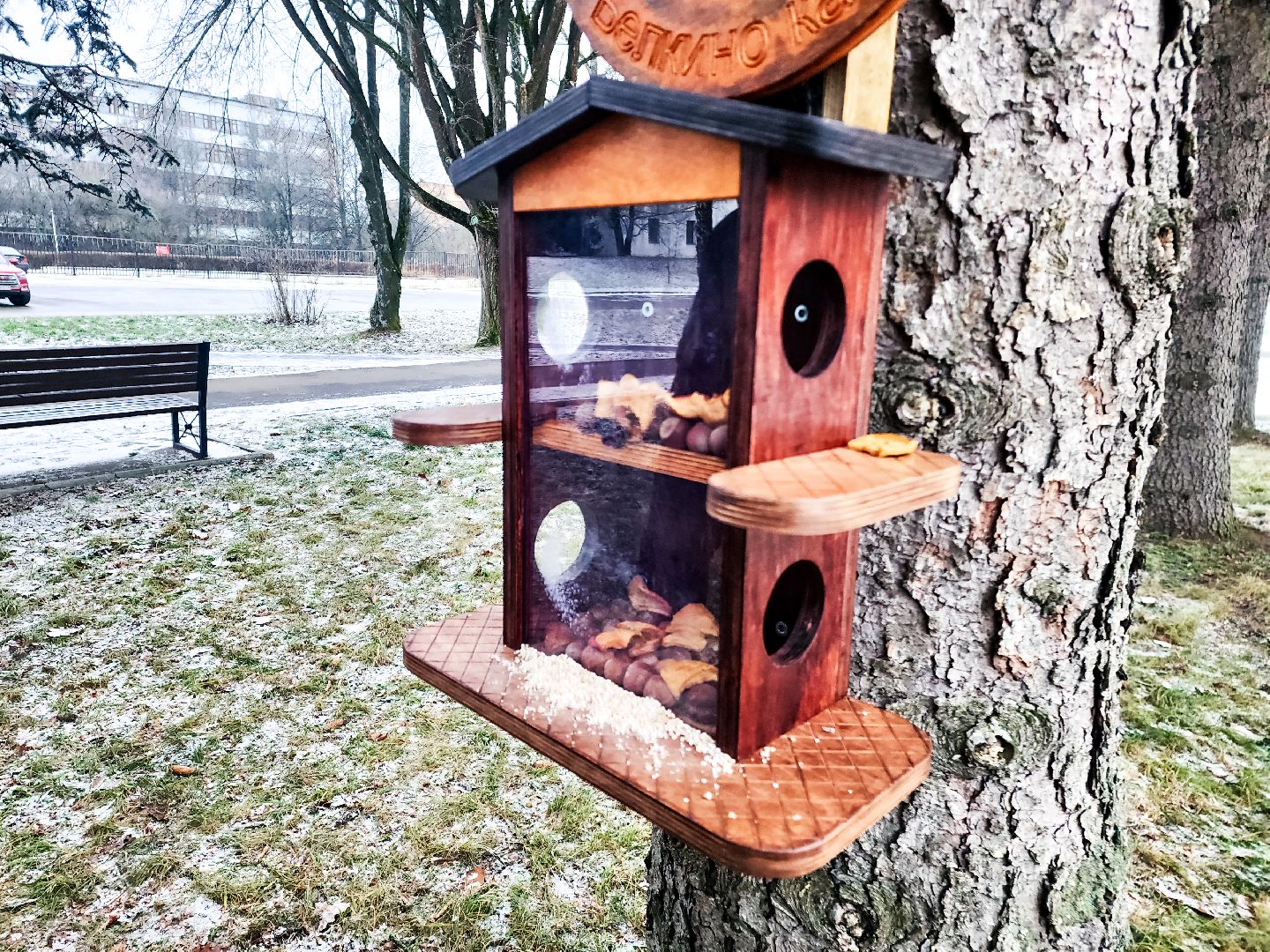 пущино, серпухов, волонтеры,