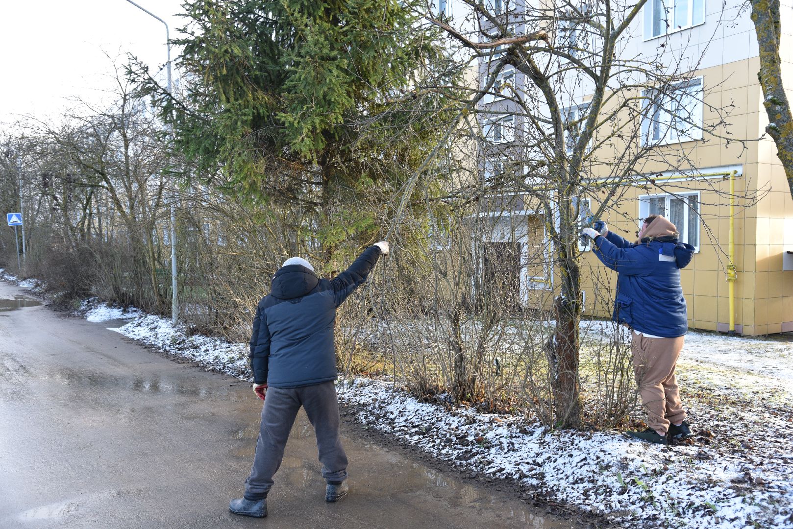 лотошино, добродел, благоустройство, обращения жителей,