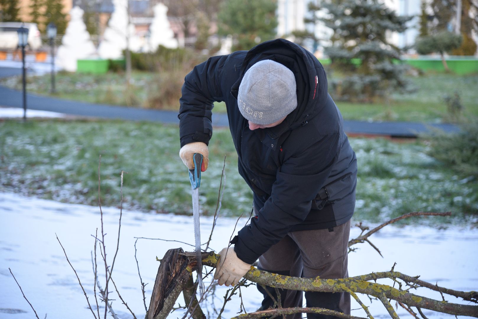 лотошино, добродел, благоустройство, обращения жителей,