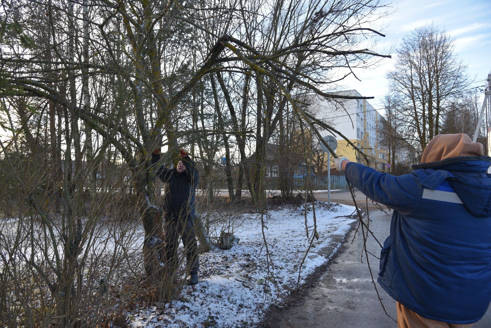 лотошино, добродел, благоустройство, обращения жителей,