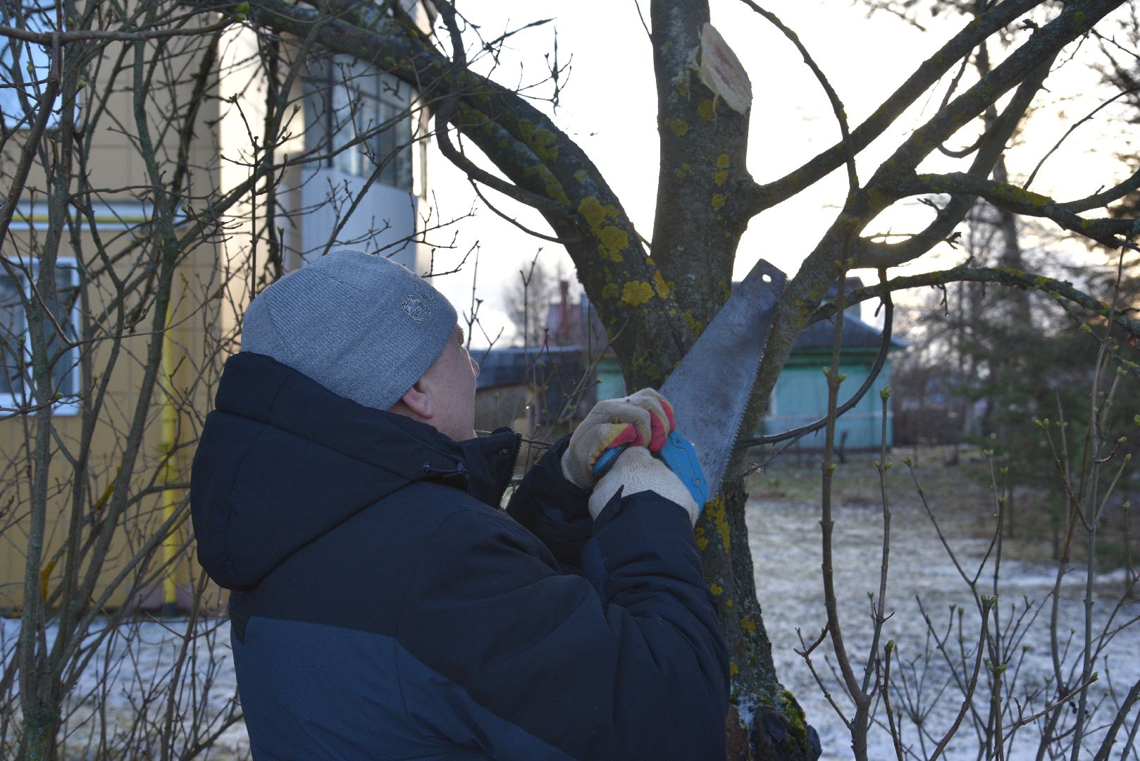лотошино, добродел, благоустройство, обращения жителей,