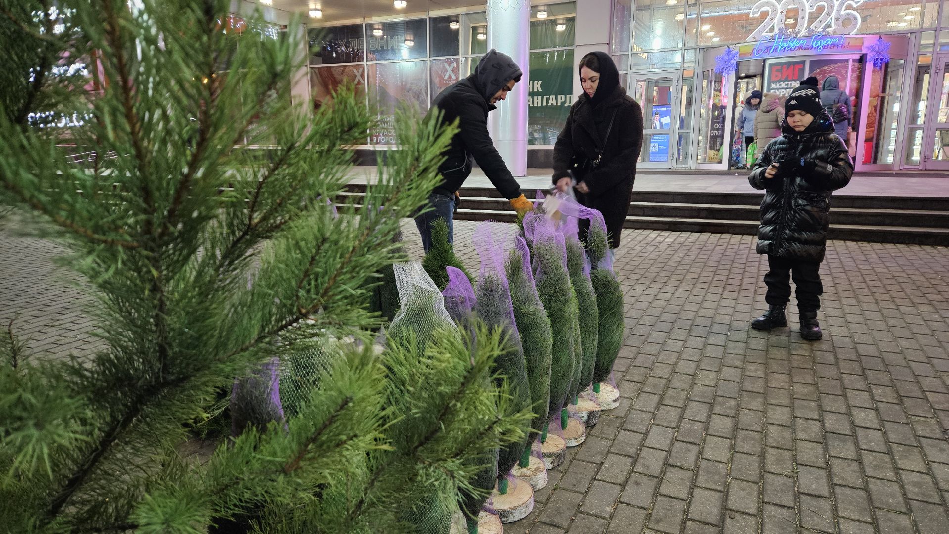 долгопрудный, елочный базар, ёлка, ель на новый год,