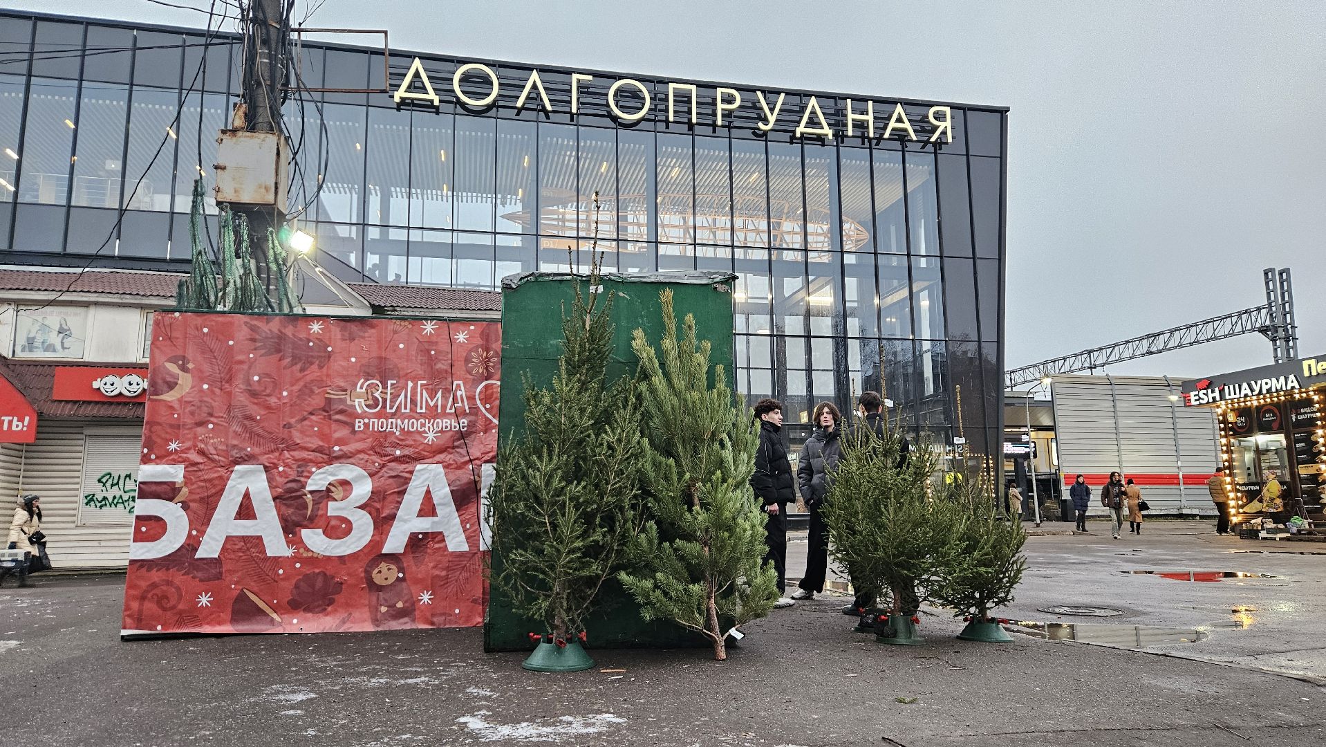 долгопрудный, елочный базар, ёлка, ель на новый год,
