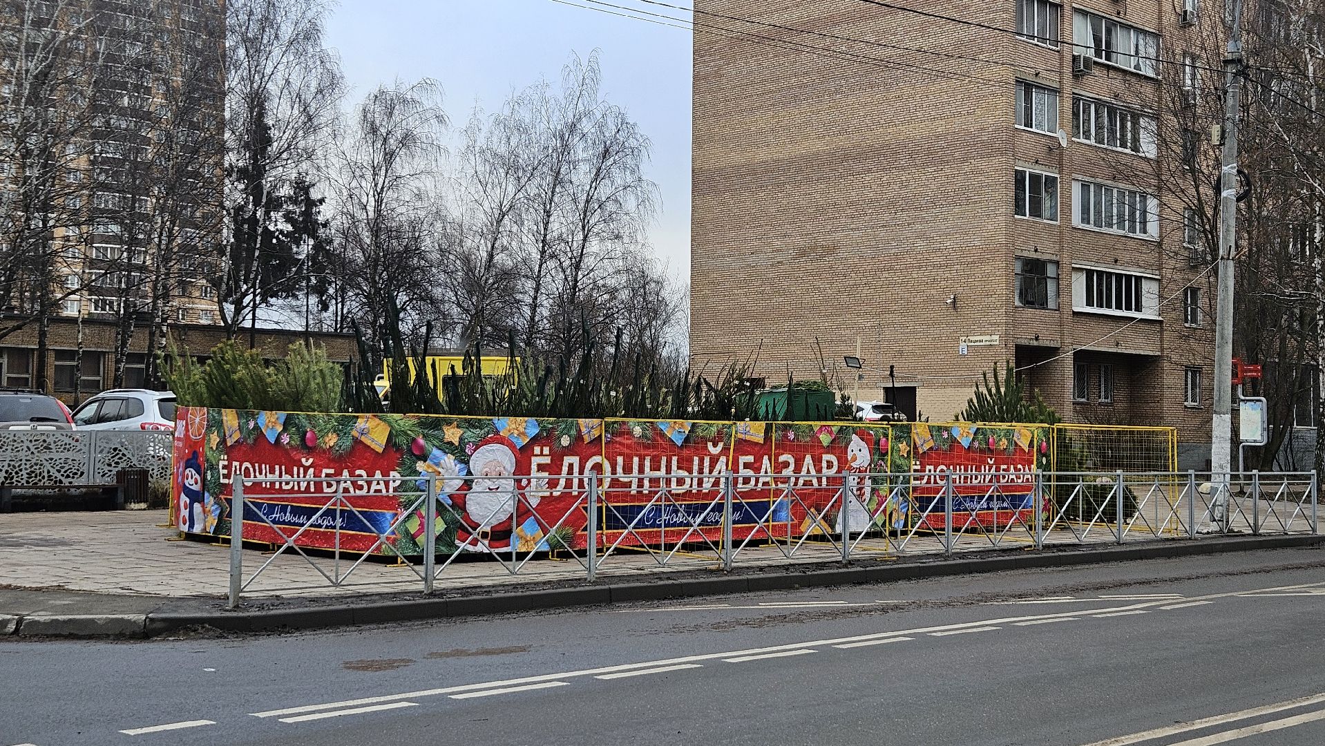 долгопрудный, елочный базар, ёлка, ель на новый год,