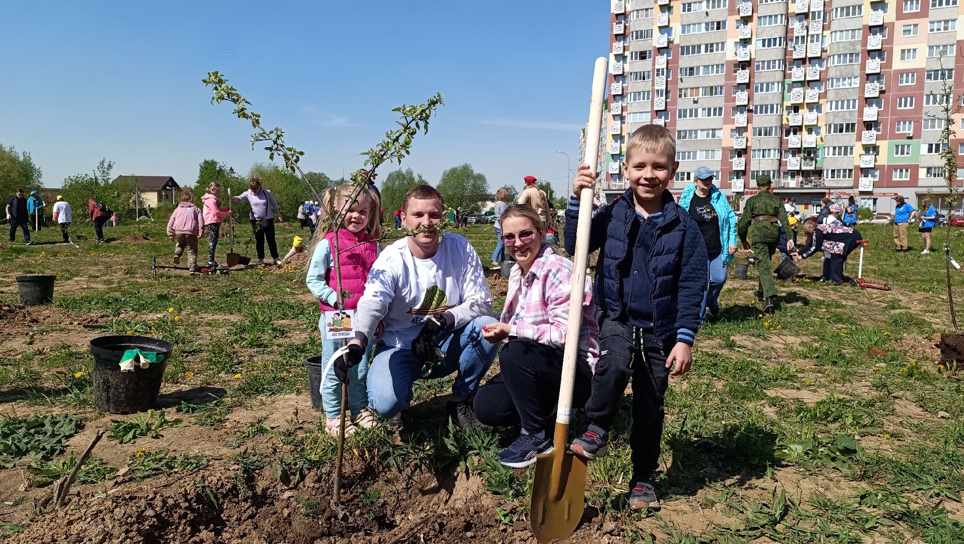 Лобня, дерево, акция