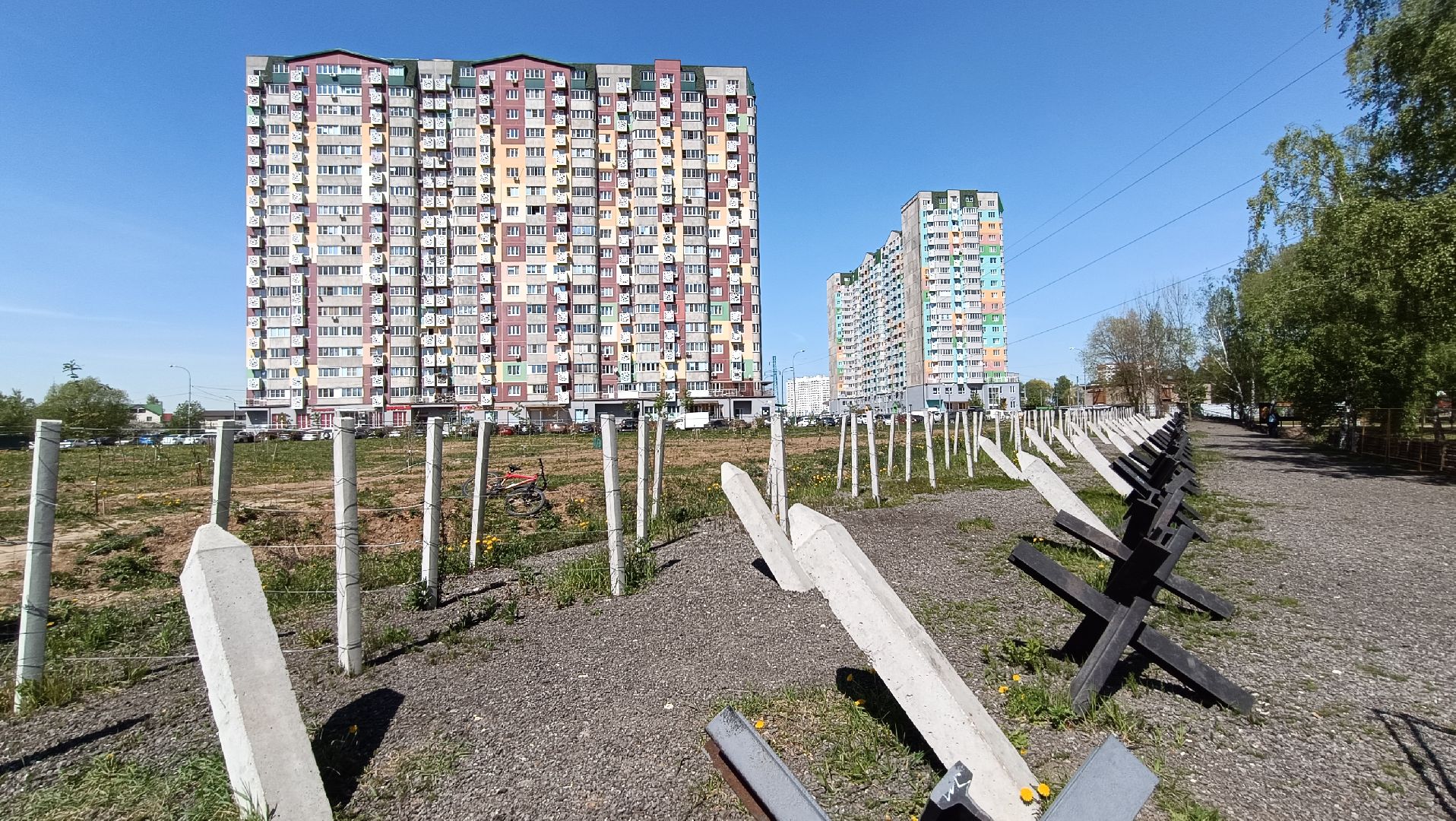 Лобня, дерево, акция