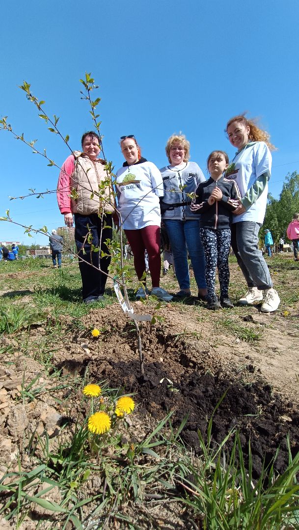Лобня, дерево, акция