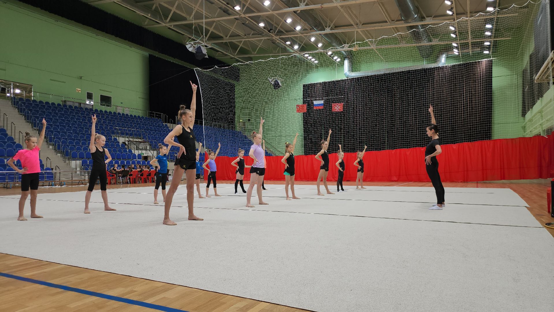 Руза, Спорт, художественная гимнастика,