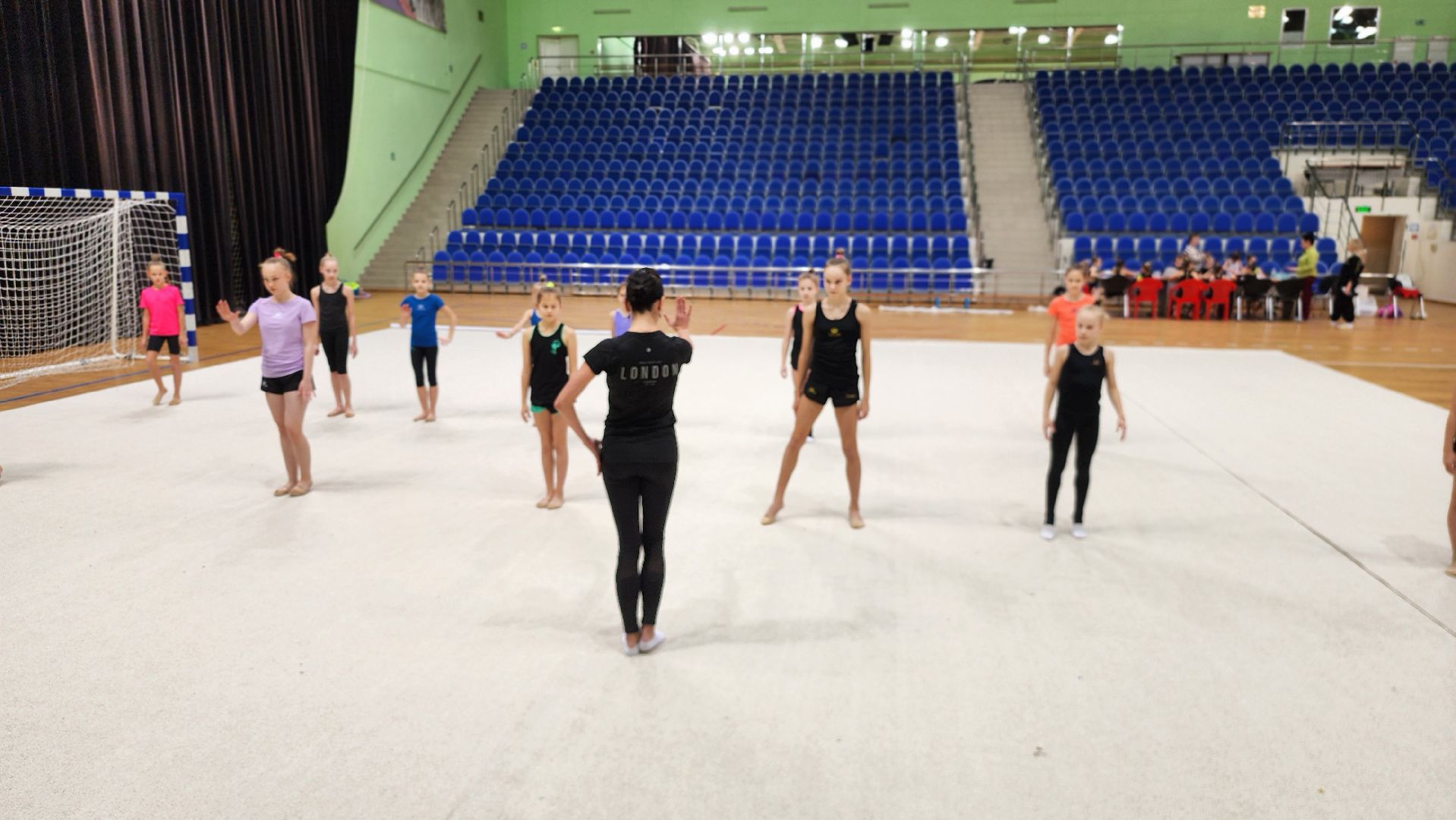 Руза, Спорт, художественная гимнастика,