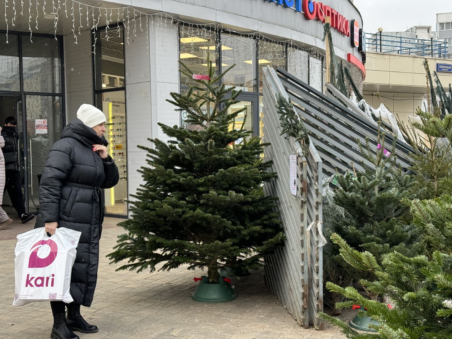 зима в подмосковье, ленинский городской округ, елочные базары, хвойные деревья,