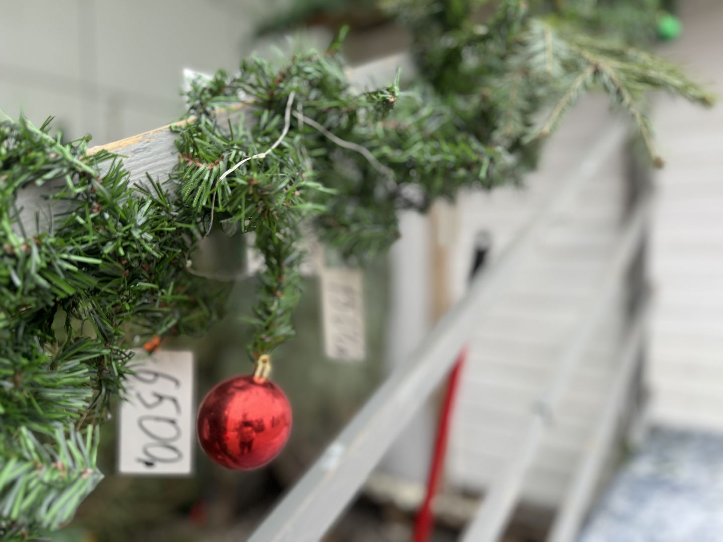 зима в подмосковье, ленинский городской округ, елочные базары, хвойные деревья,