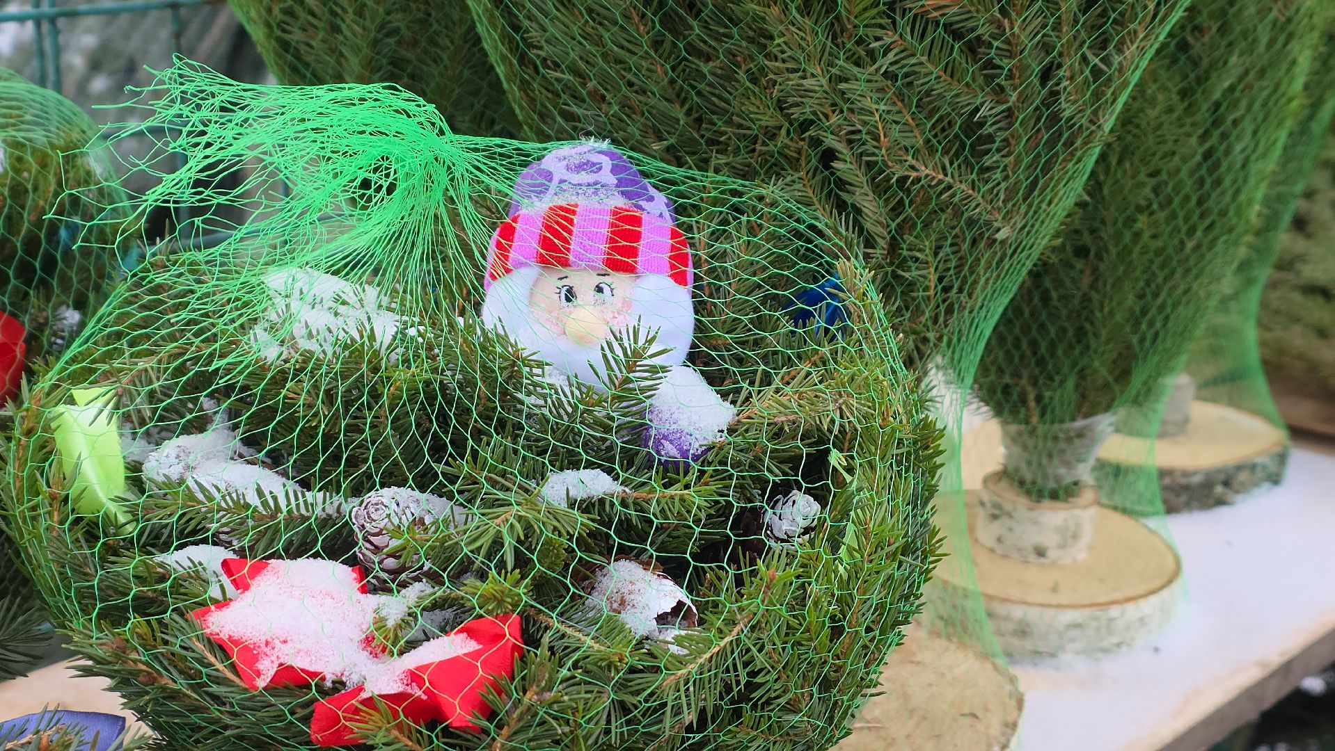 елочный базар, новый год, зима в подмосковье,