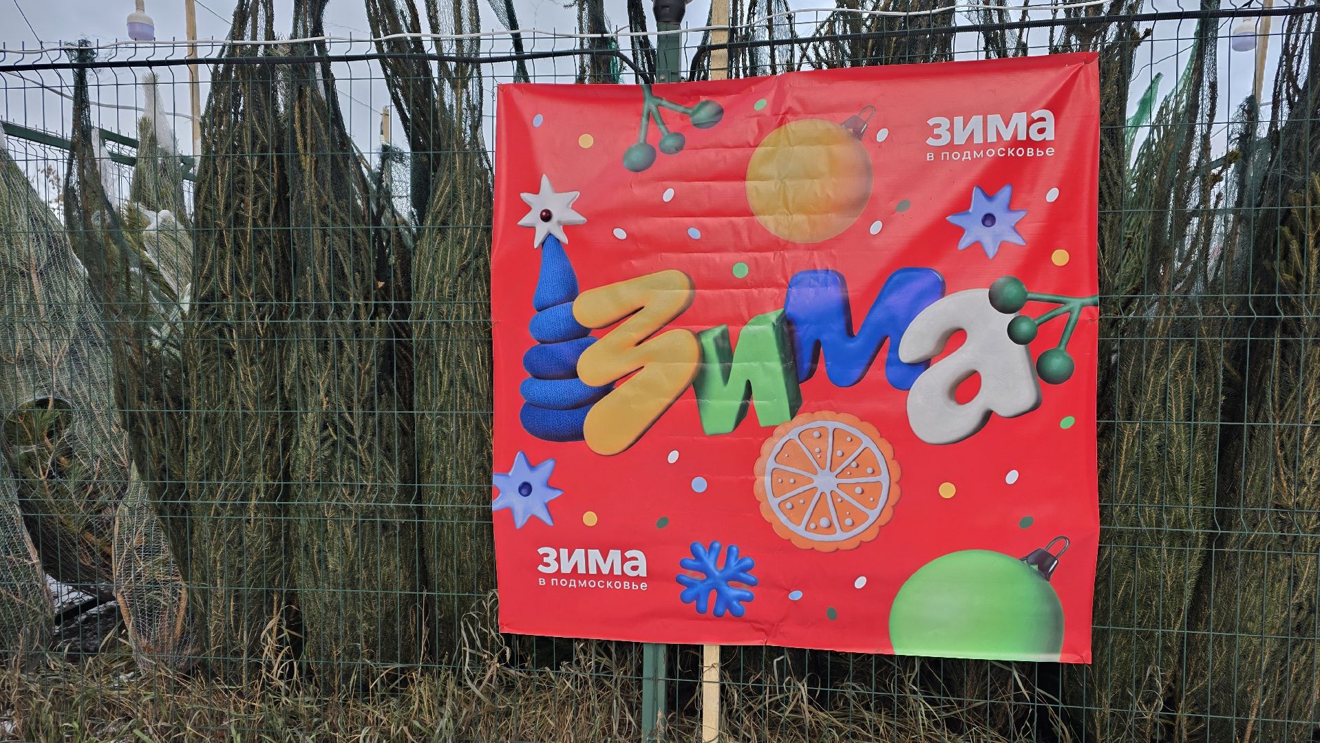 елочный базар, новый год, зима в подмосковье,