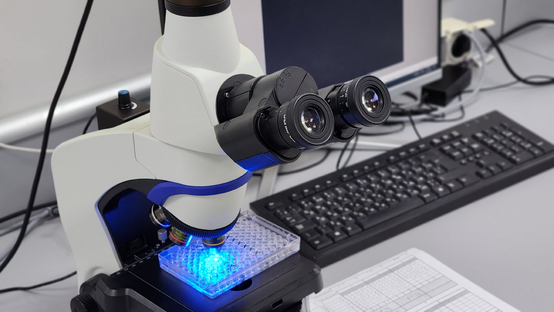 экономика, предприятия, сельское хозяйство, биокомбинат, ветеринария, вакцины, животные, лосино-петровский,