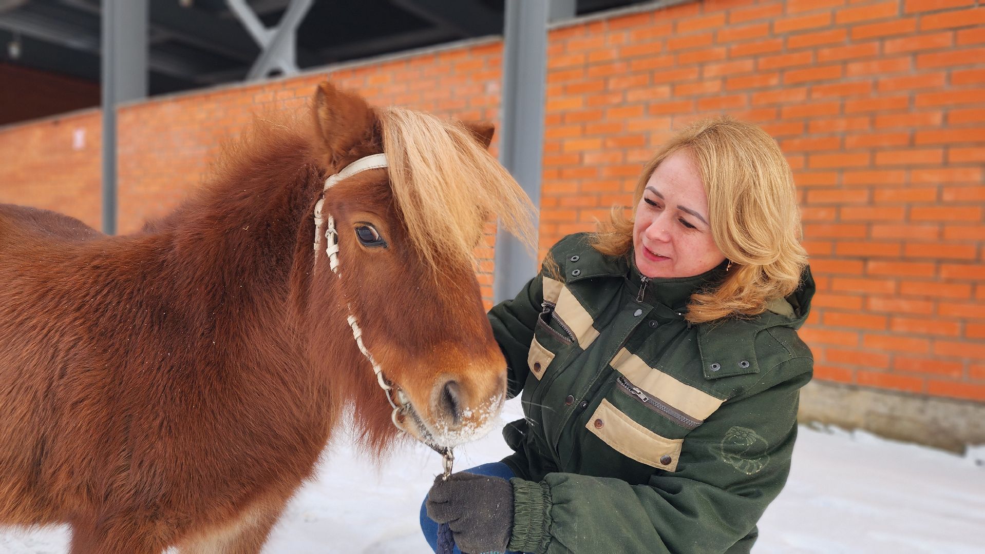 волоколамск, сычево, центр воспроизводства редких видов животных, пони, глафира, досуг,