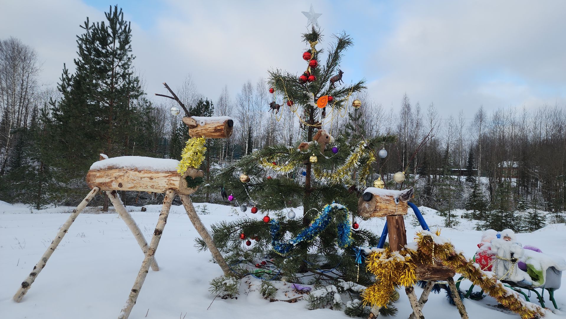 волоколамск, сычево, центр воспроизводства редких видов животных, пони, глафира, досуг,