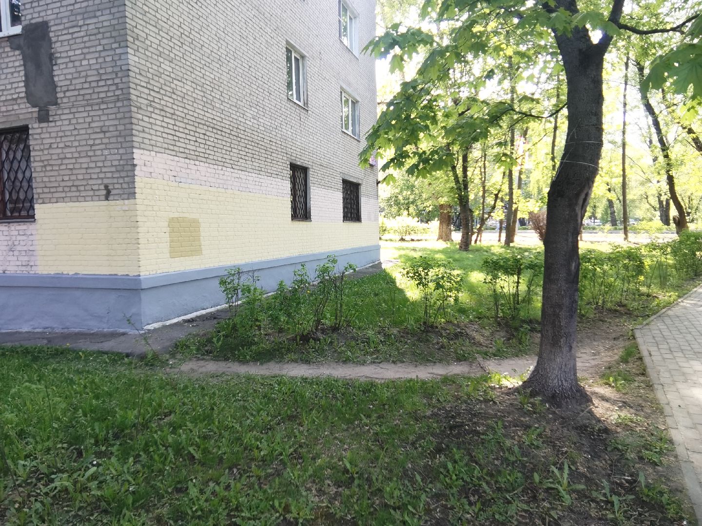 Балашиха, благоустройство, живая изгородь, растения, деревья, кусты, хоста, ирис, жасмин, улица Советская