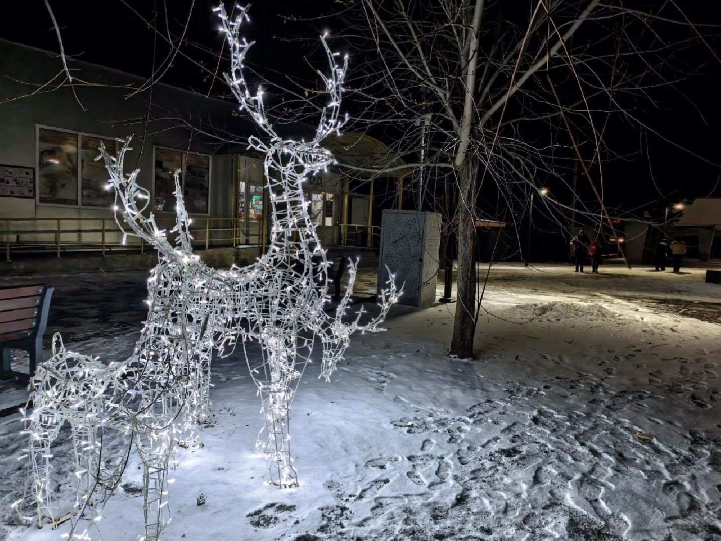 серебряные пруды, ремесленная, переходная зона, новый 2026 год, световая инстоляция,