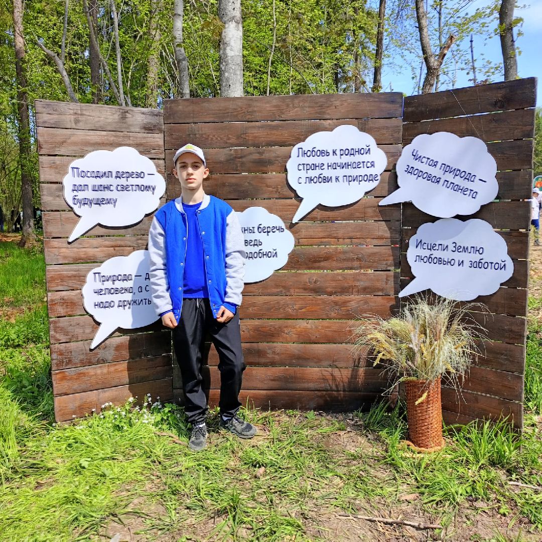 Долгопрудный, Лес Победы, сосны, сеянцы