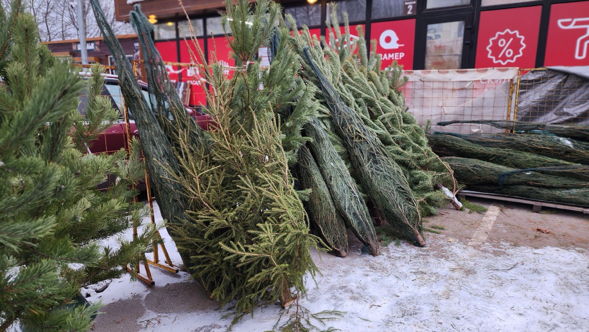 Руза, елочные базары, Новый год , Зима в подмосковье,