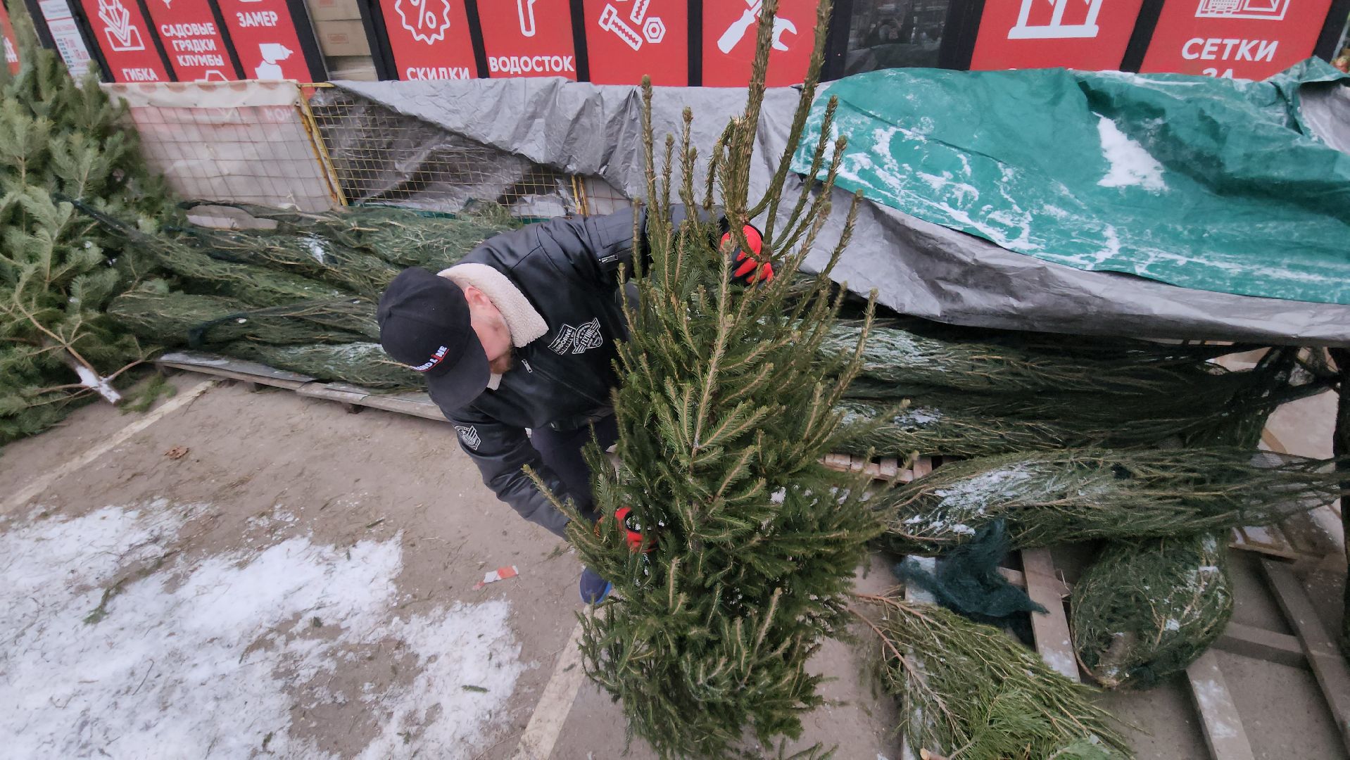 Руза, елочные базары, Новый год , Зима в подмосковье,