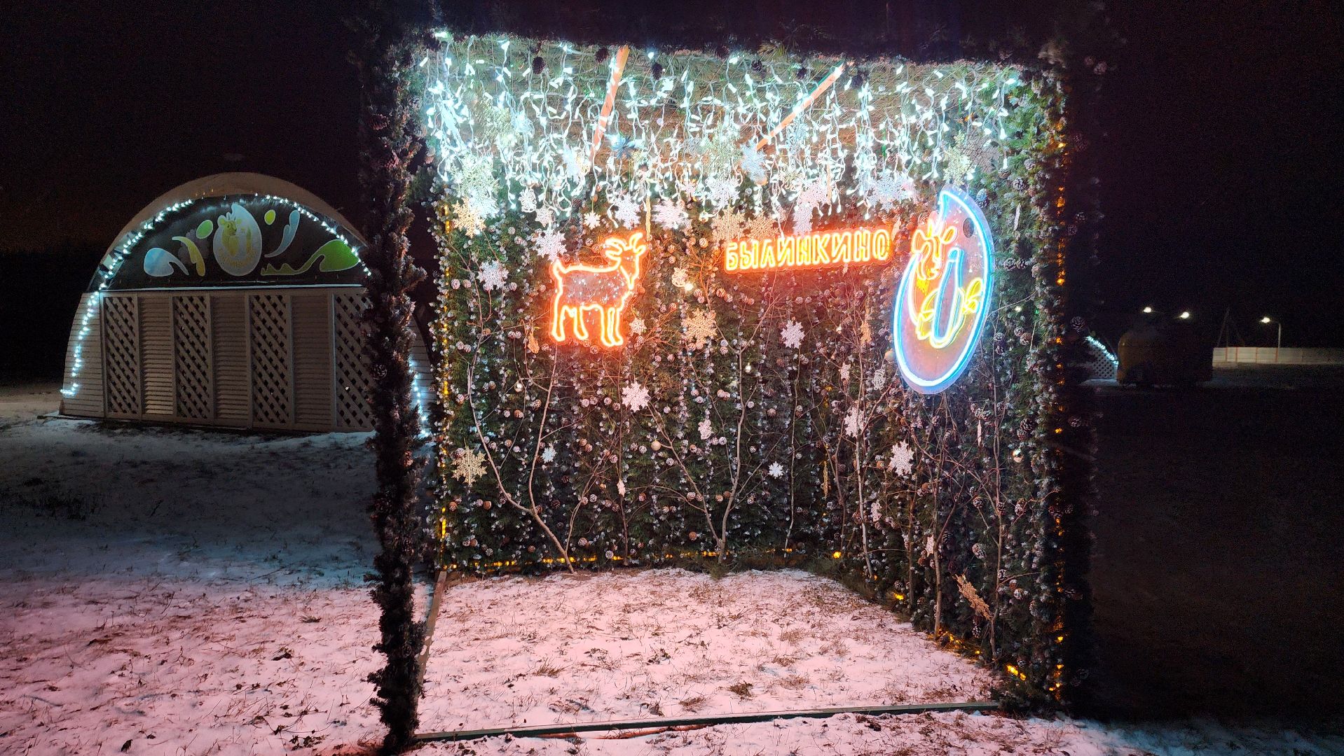 Луховицы , Былинкино, Новый год с Даринкой,