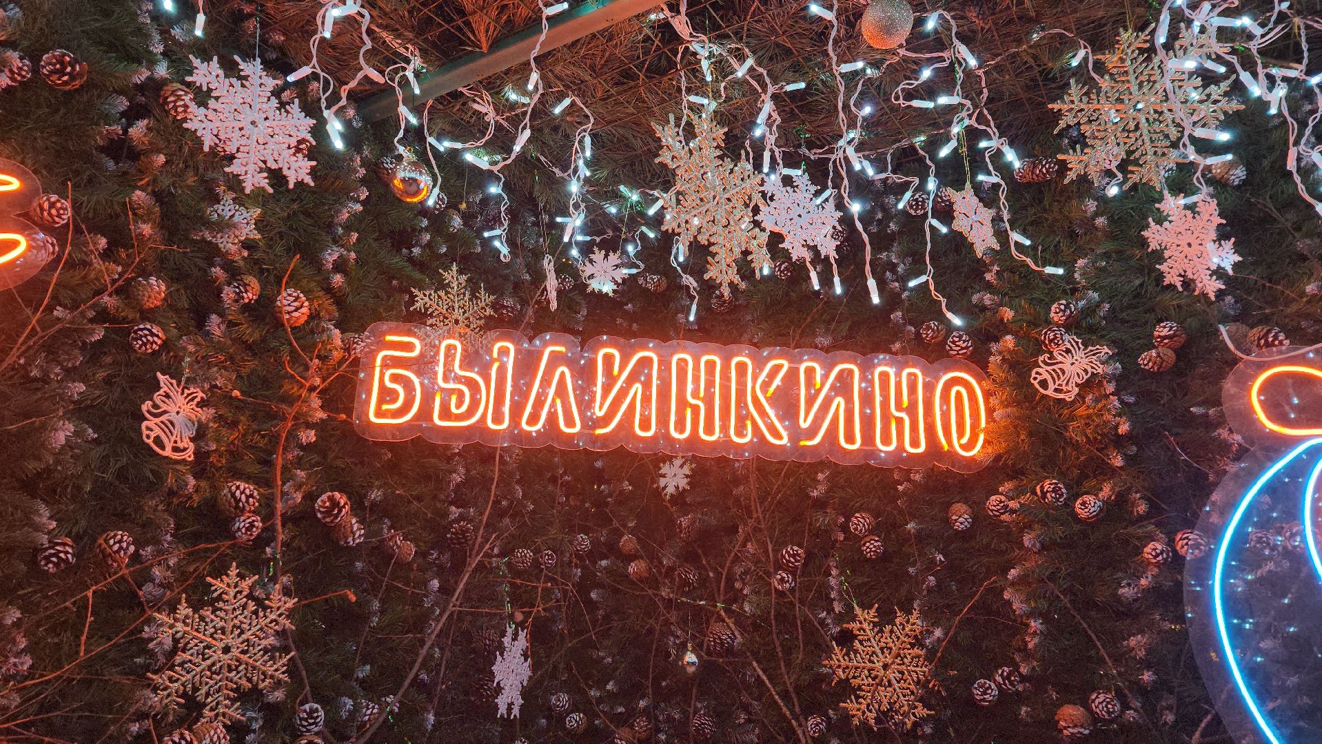 Луховицы , Былинкино, Новый год с Даринкой,