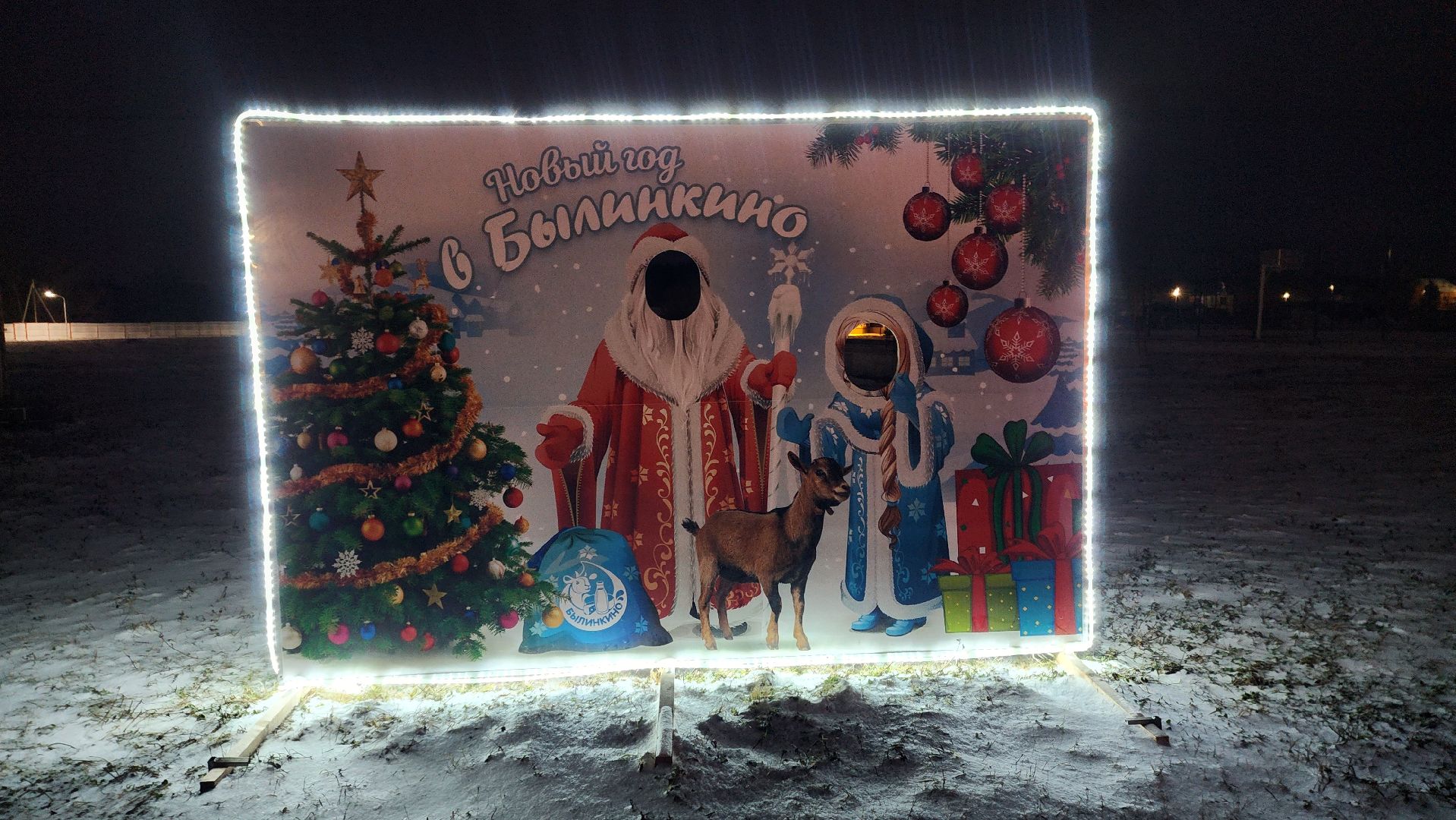 Луховицы , Былинкино, Новый год с Даринкой,