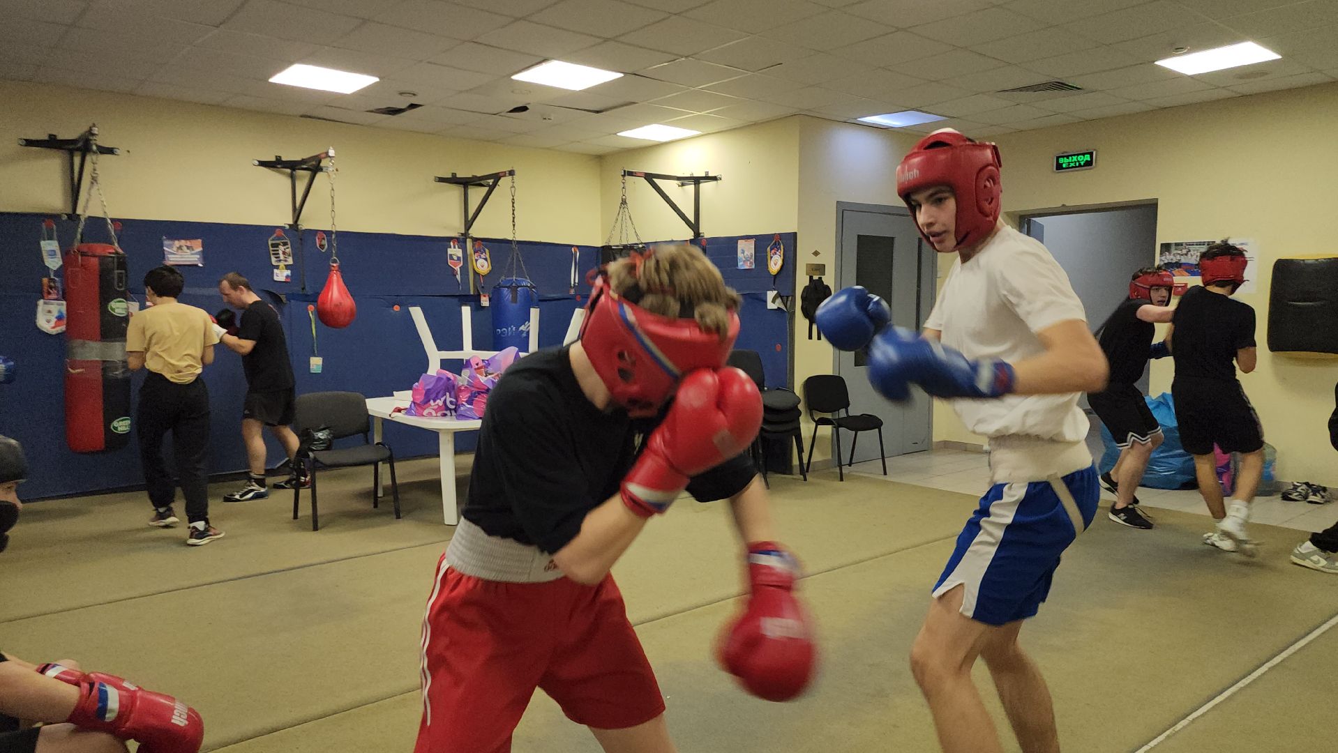 Истра, Бокс, Спорт,