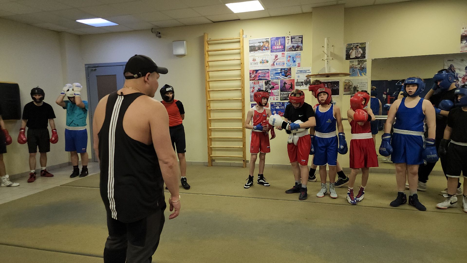 Истра, Бокс, Спорт,