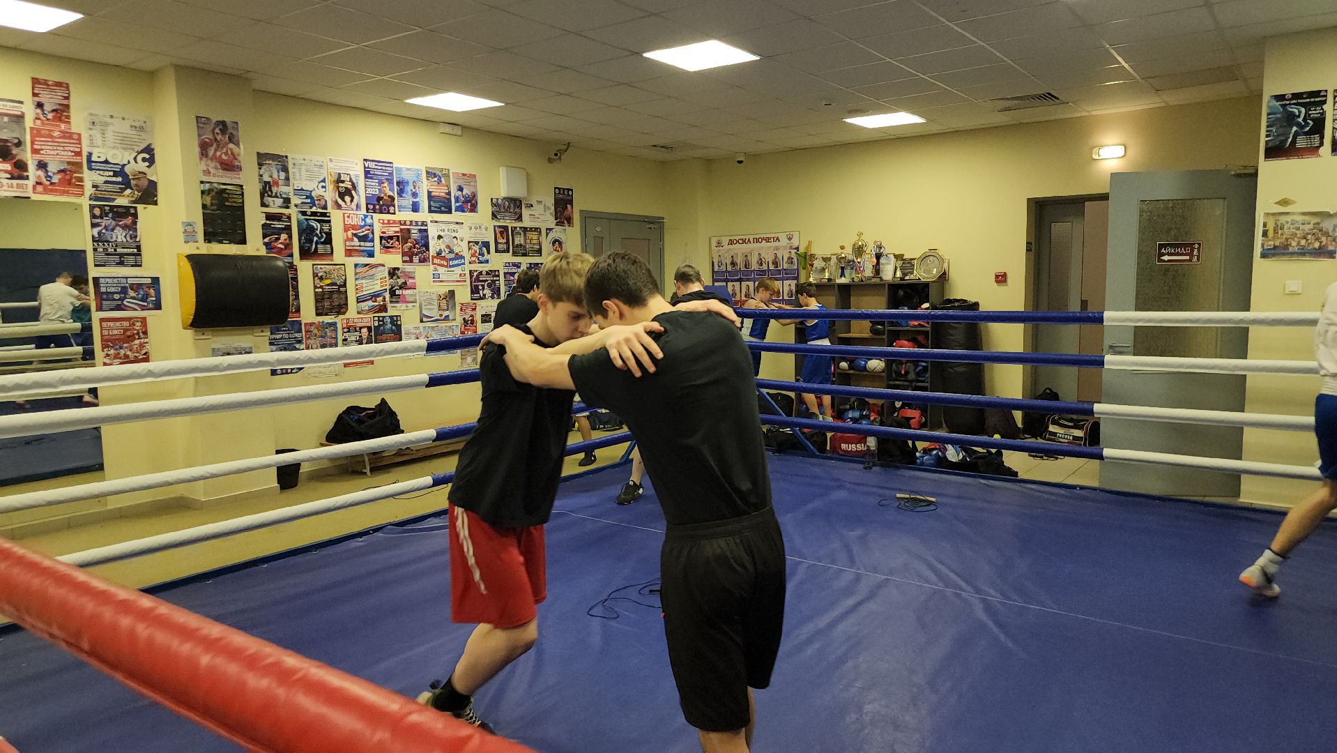 Истра, Бокс, Спорт,