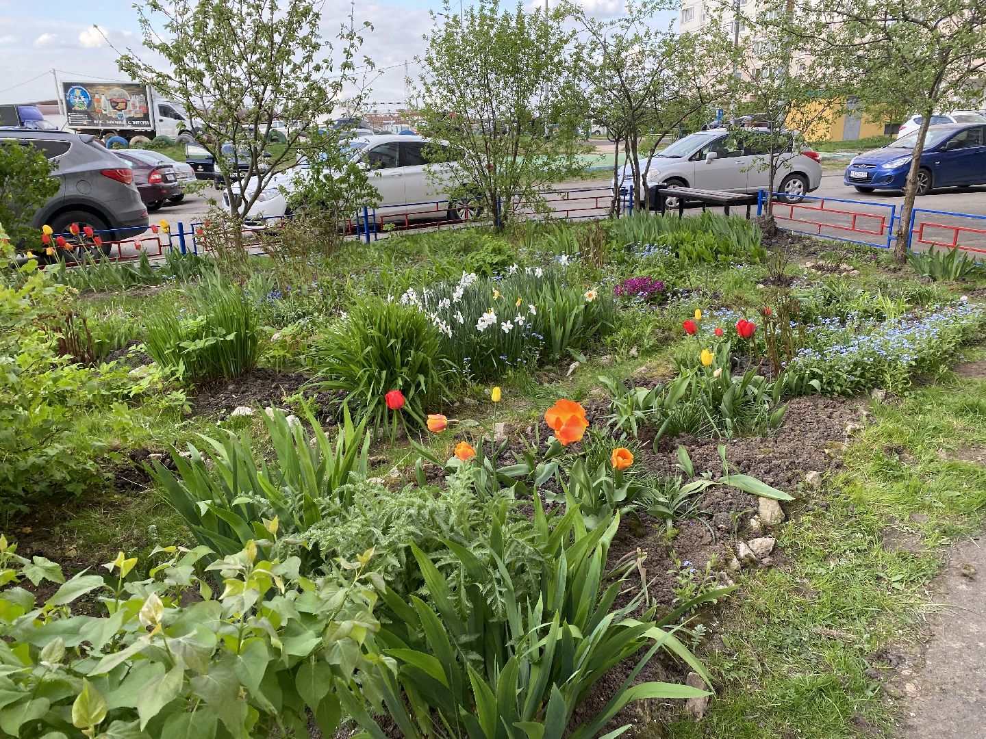 Чехов, благоустройство, жители, смородина, МКД