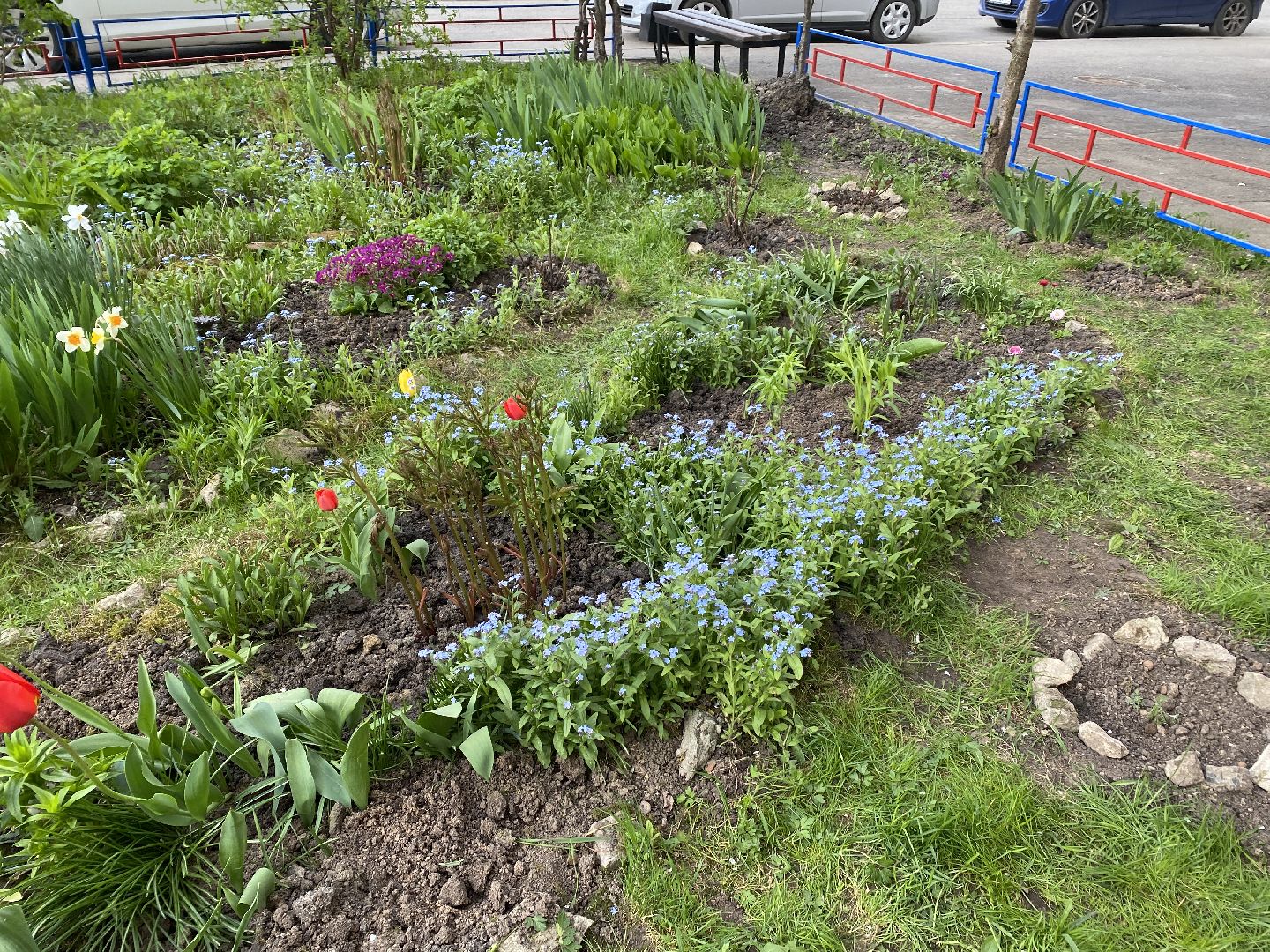 Чехов, благоустройство, жители, смородина, МКД