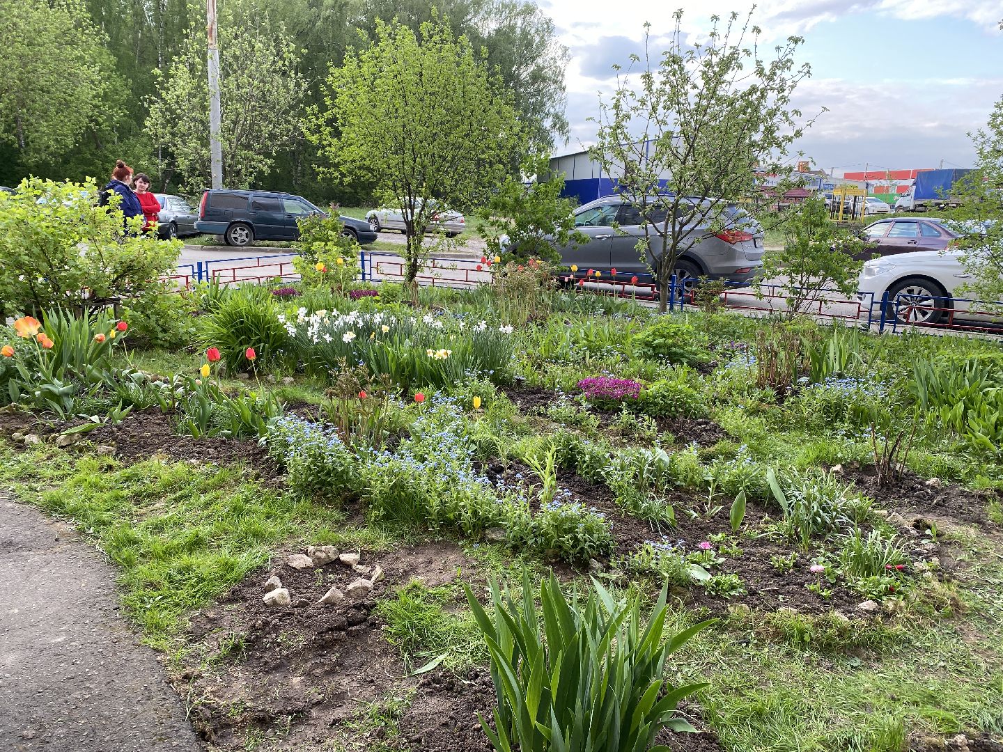 Чехов, благоустройство, жители, смородина, МКД